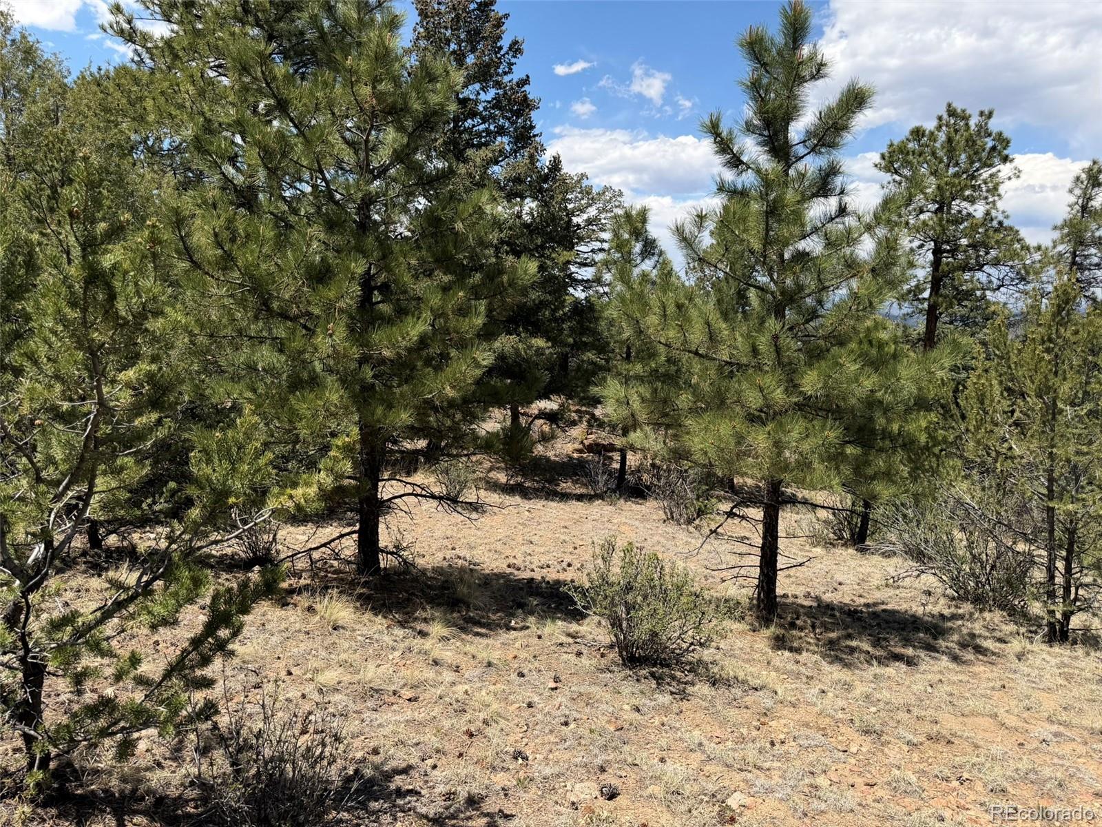 477 Bear Peak Road Westcliffe CO 81252