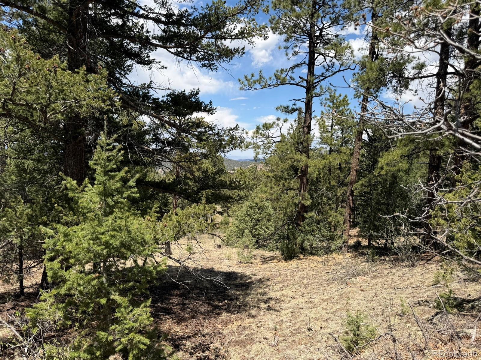 477 Bear Peak Road Westcliffe CO 81252