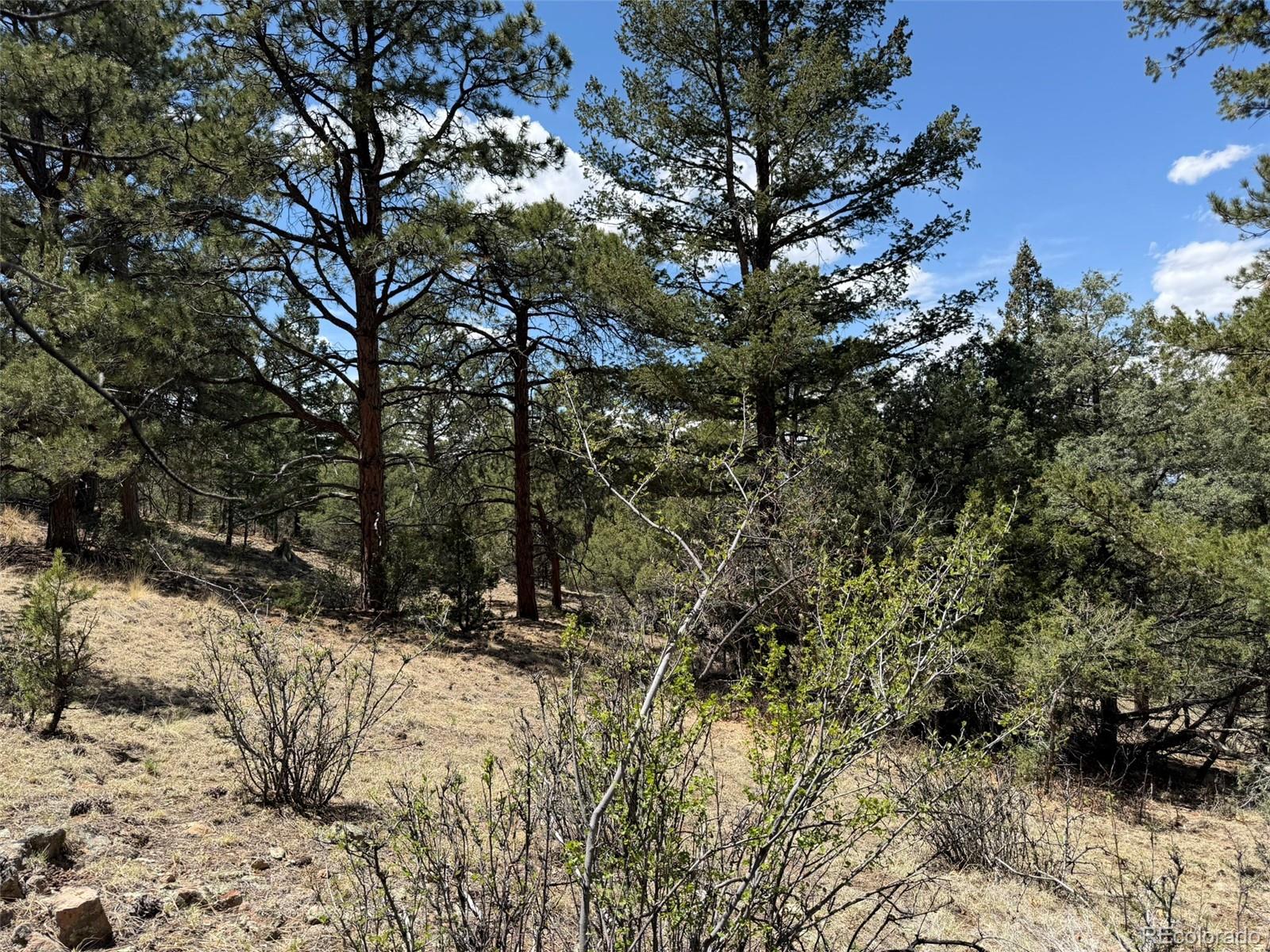 477 Bear Peak Road Westcliffe CO 81252