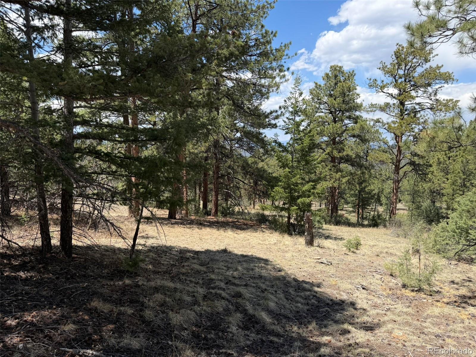 477 Bear Peak Road Westcliffe CO 81252