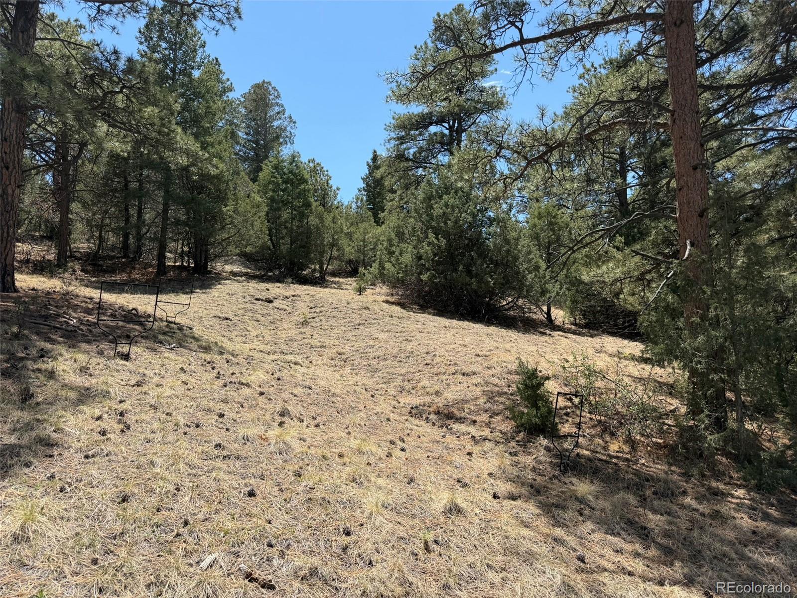 477 Bear Peak Road Westcliffe CO 81252