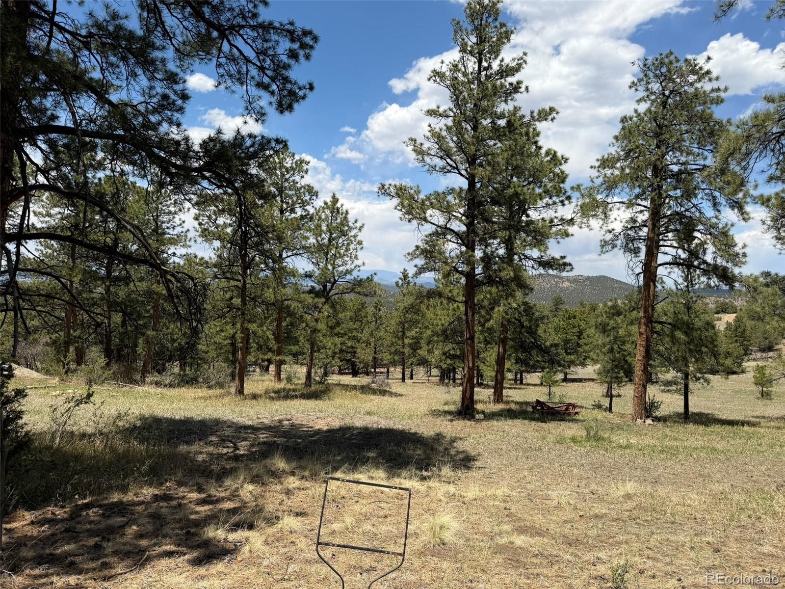 477 Bear Peak Road Westcliffe CO 81252