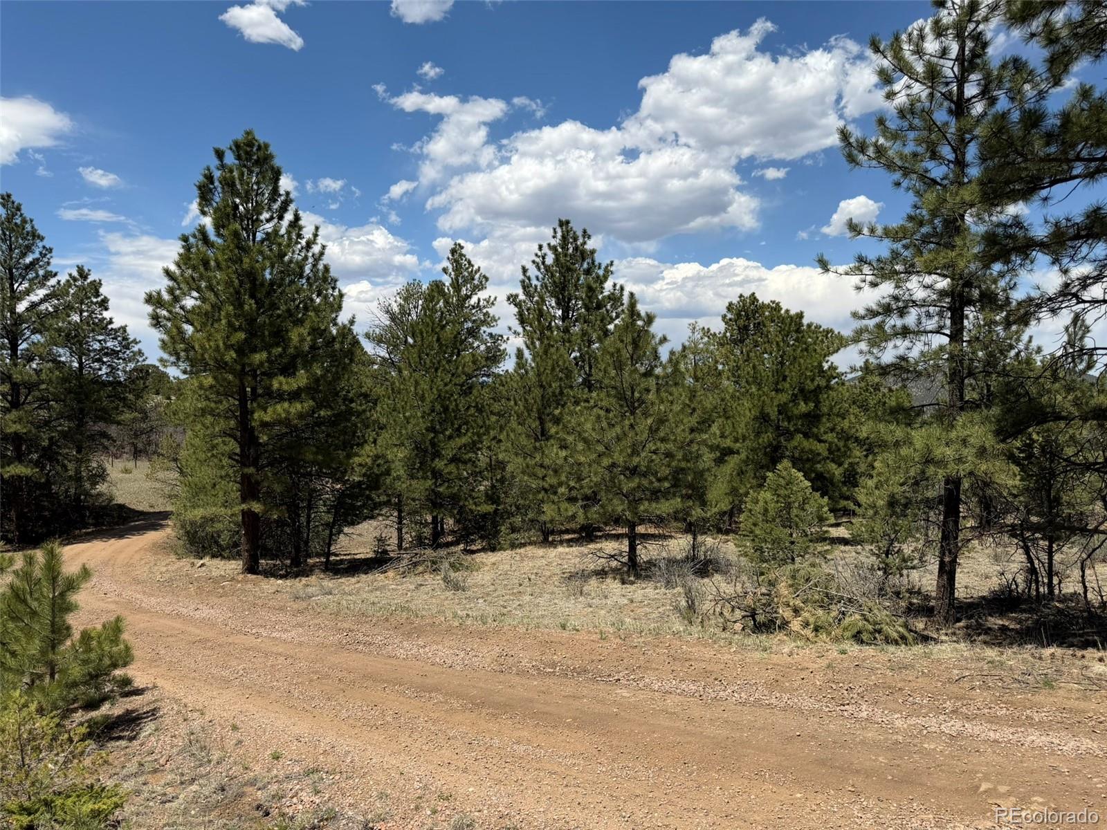 477 Bear Peak Road Westcliffe CO 81252