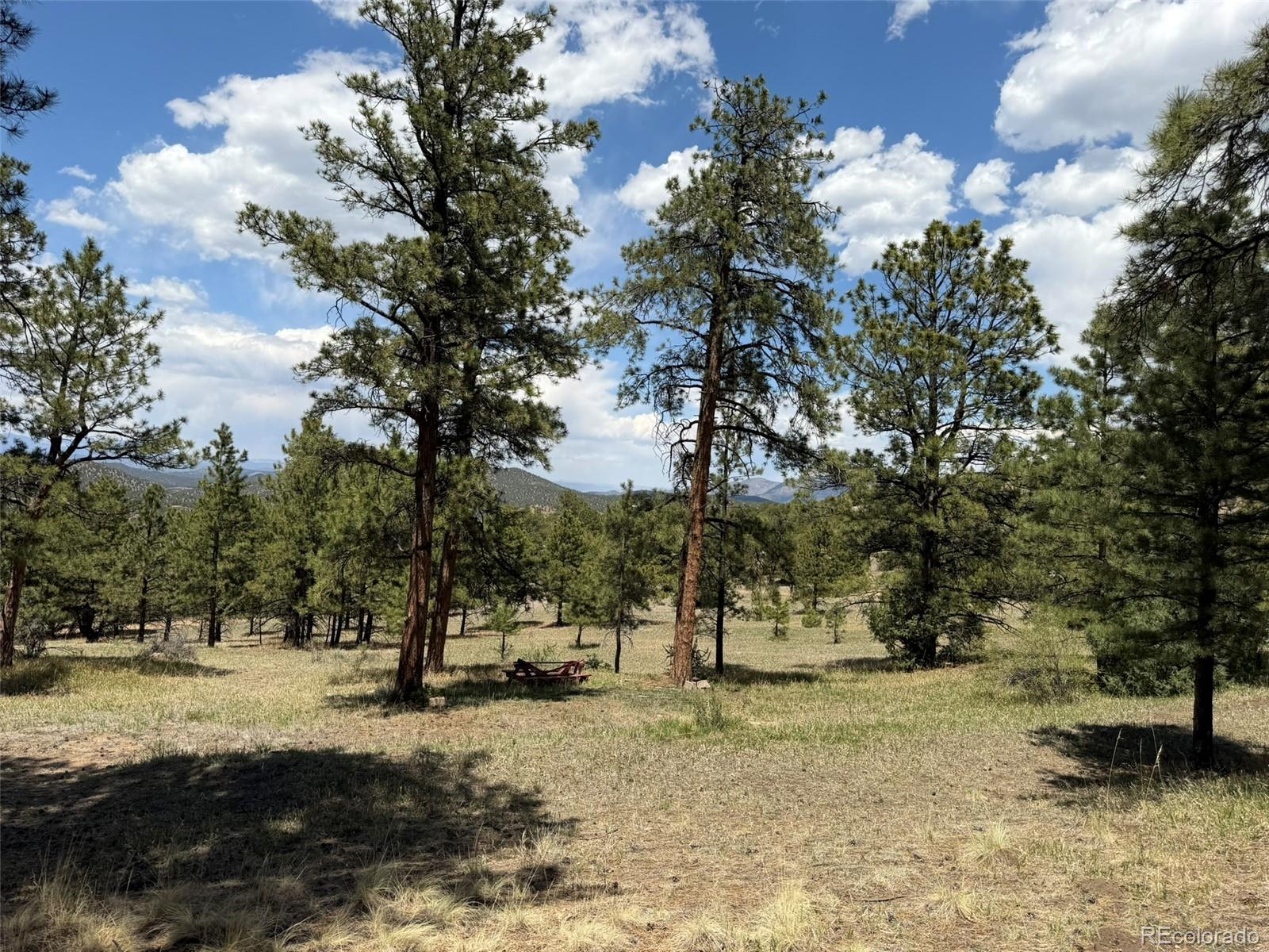 477 Bear Peak Road Westcliffe CO 81252