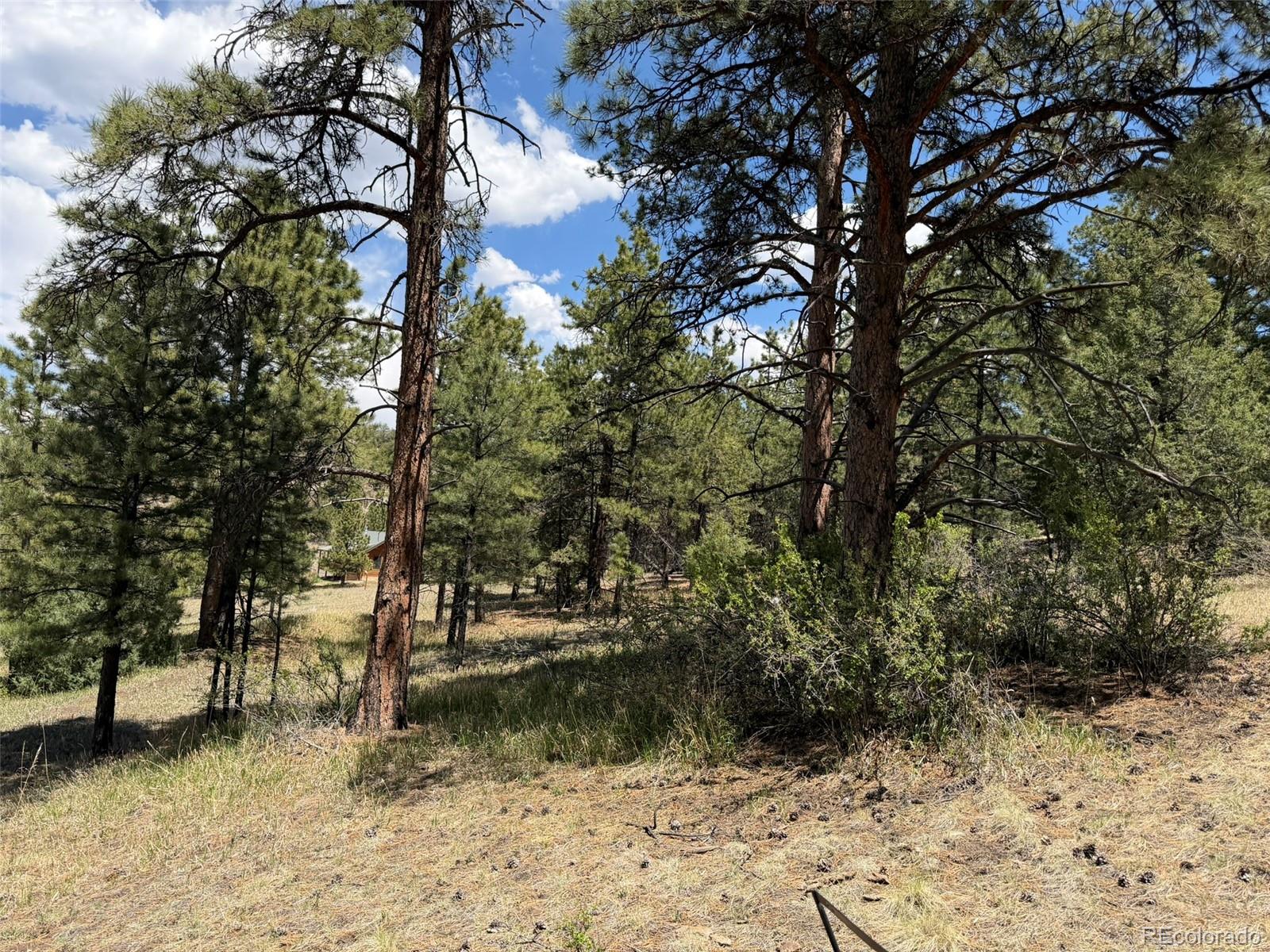 477 Bear Peak Road Westcliffe CO 81252