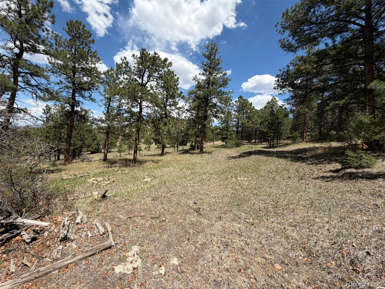 477 Bear Peak Road Westcliffe CO 81252