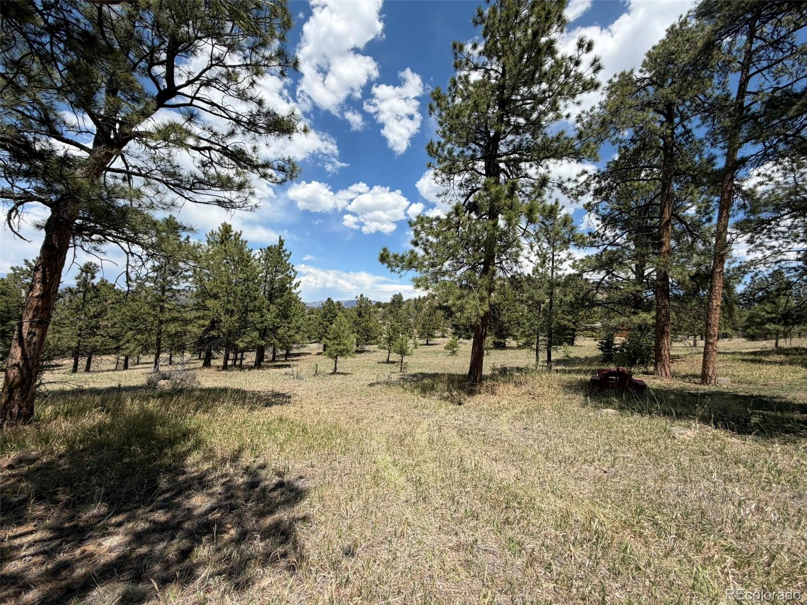 477 Bear Peak Road Westcliffe CO 81252