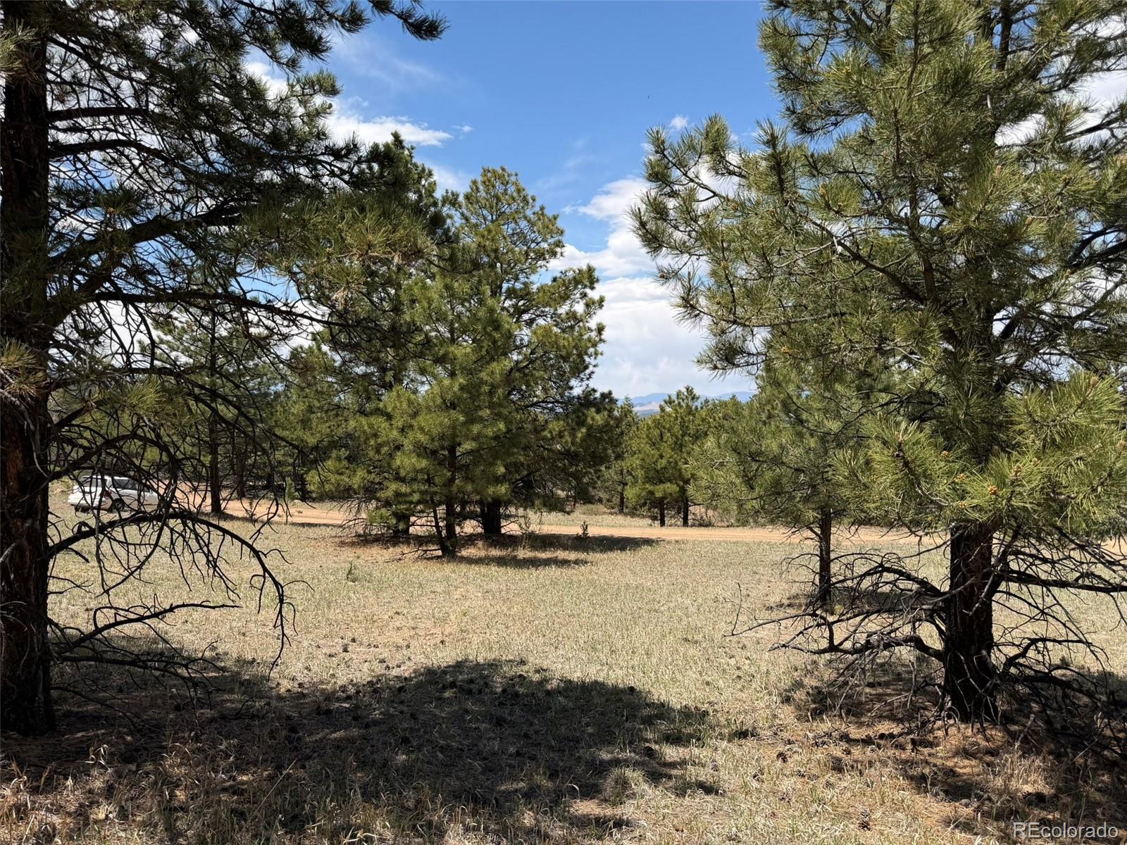 477 Bear Peak Road Westcliffe CO 81252