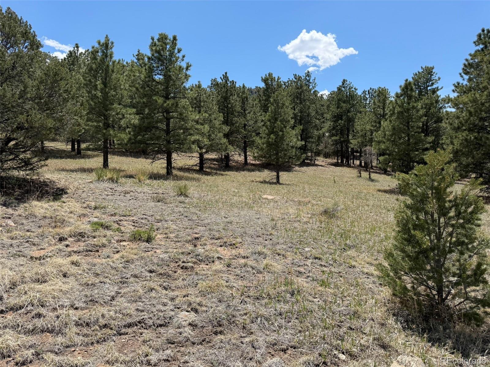 477 Bear Peak Road Westcliffe CO 81252