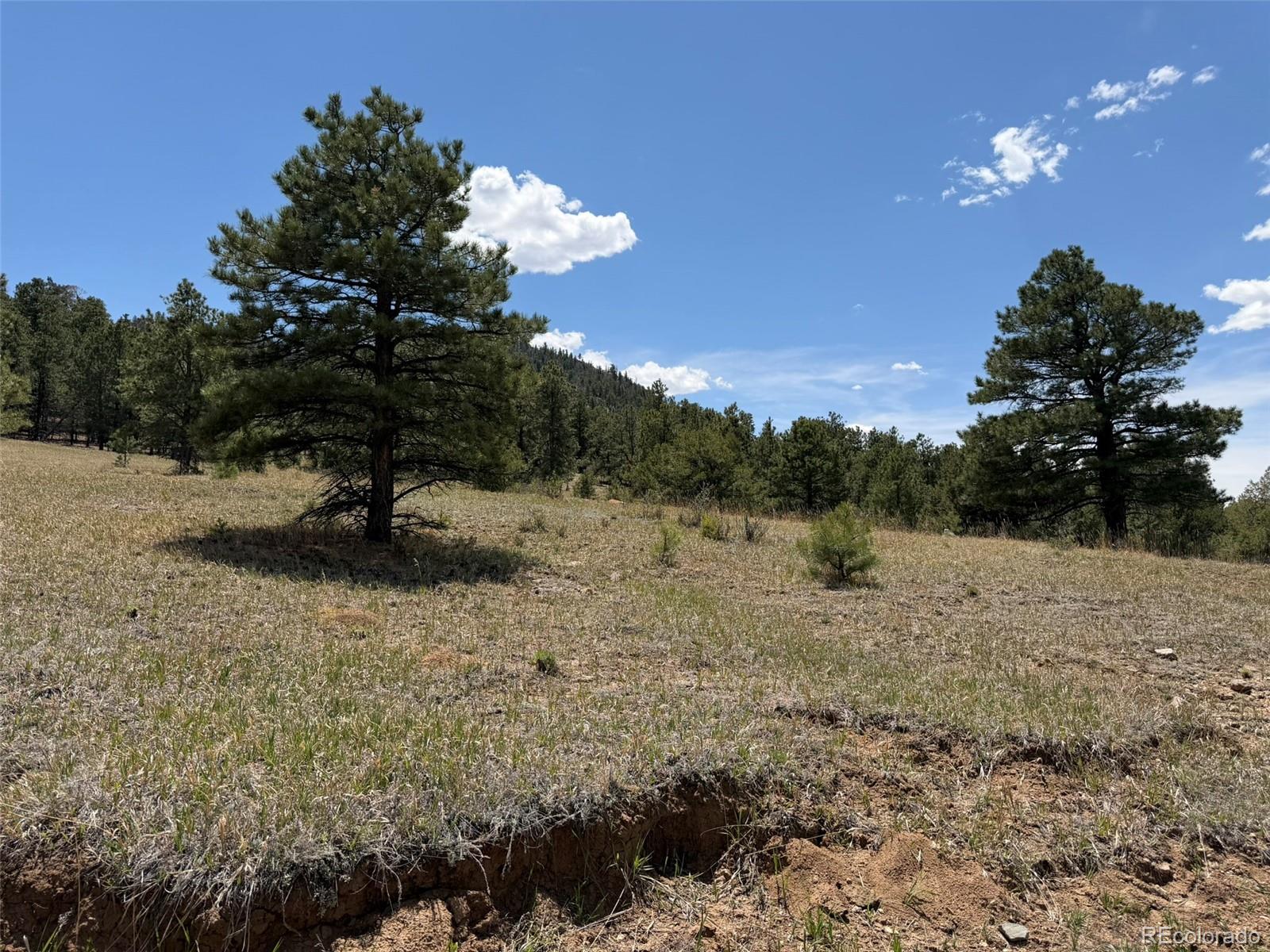 477 Bear Peak Road Westcliffe CO 81252
