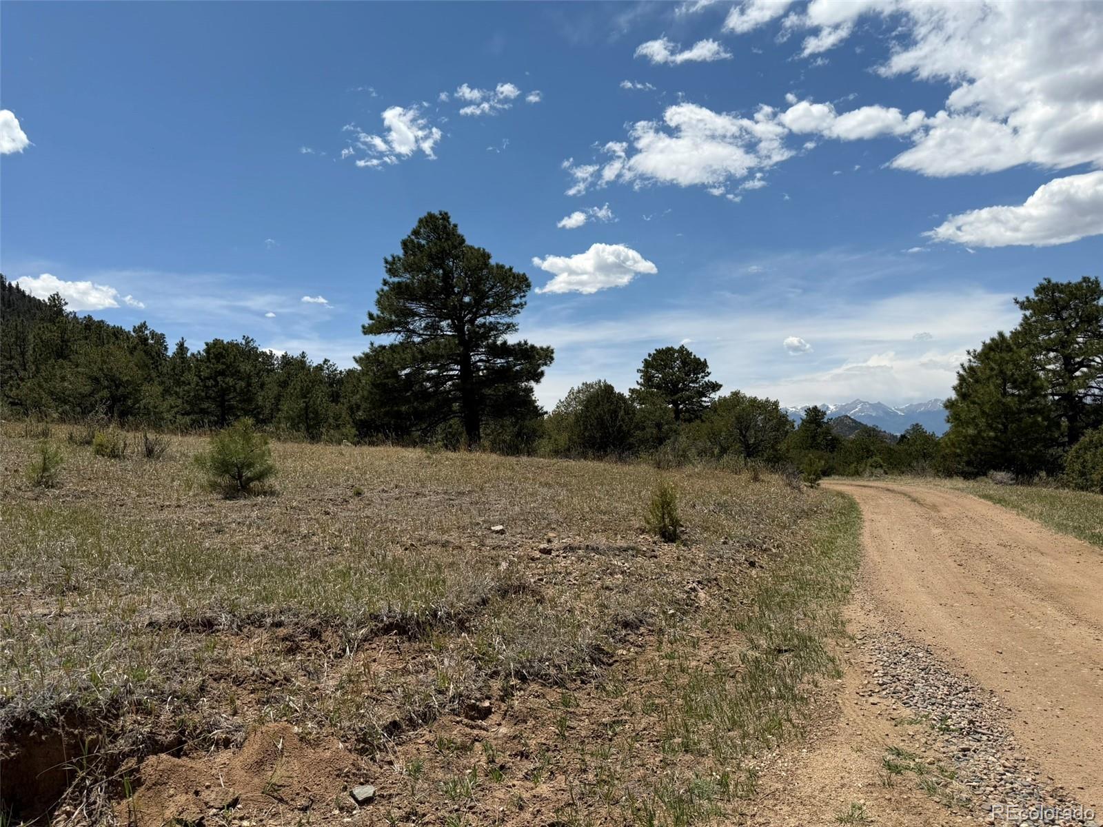 477 Bear Peak Road Westcliffe CO 81252