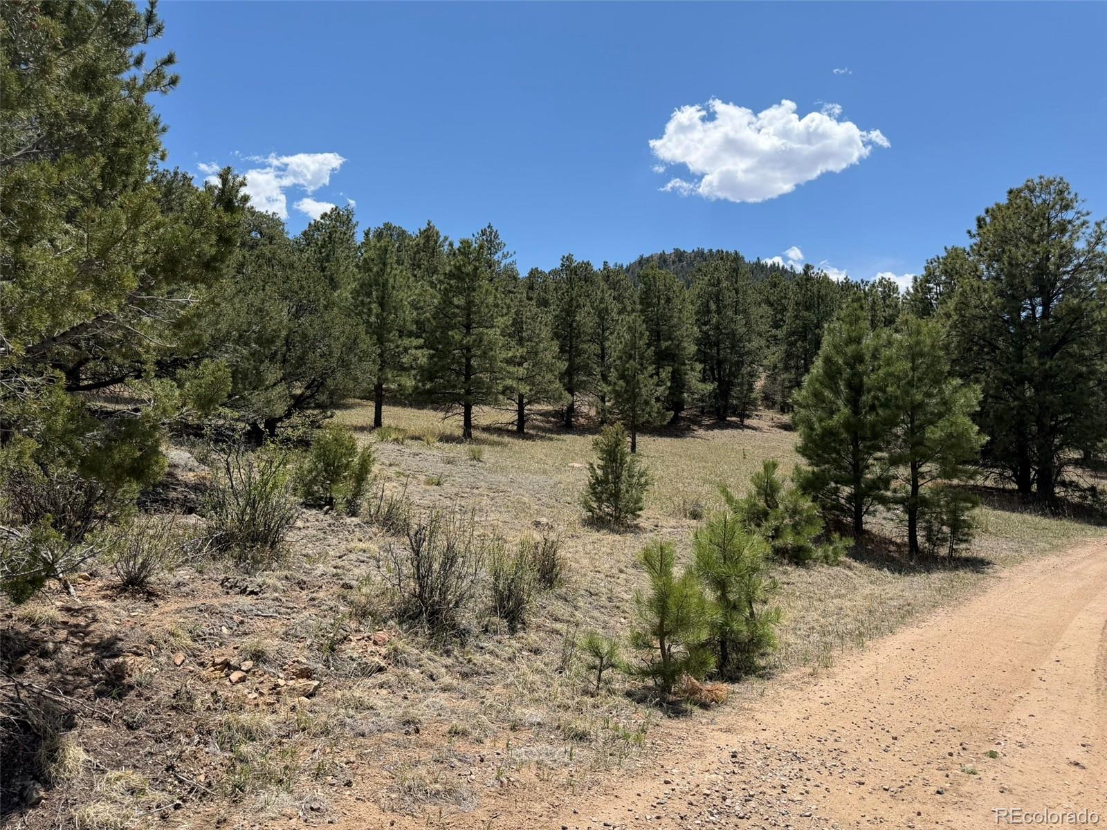477 Bear Peak Road Westcliffe CO 81252