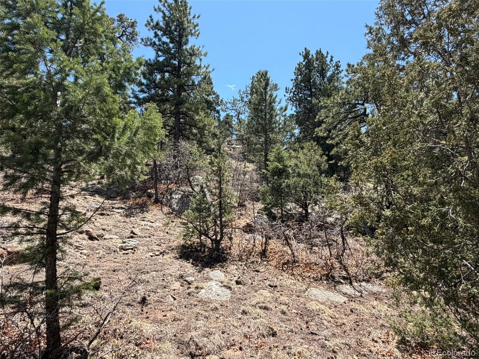 477 Bear Peak Road Westcliffe CO 81252