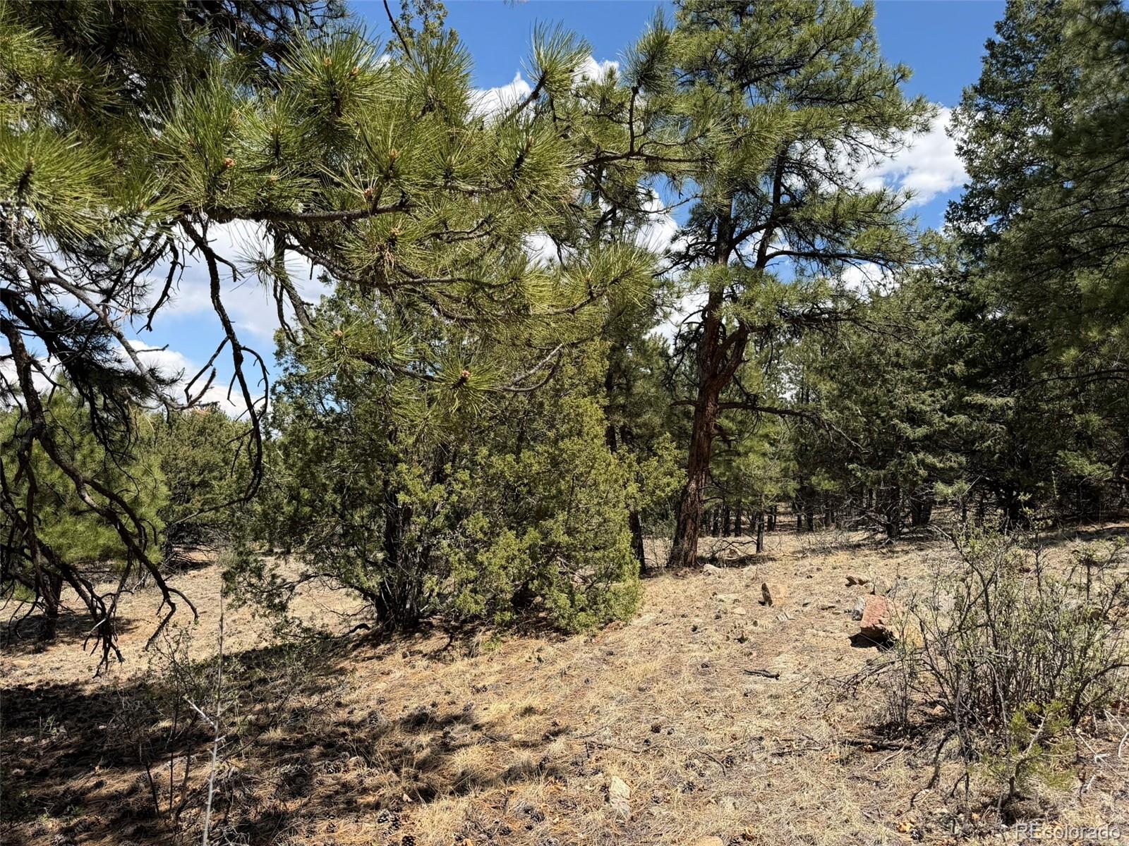477 Bear Peak Road Westcliffe CO 81252