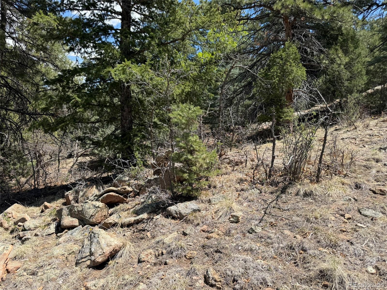 477 Bear Peak Road Westcliffe CO 81252