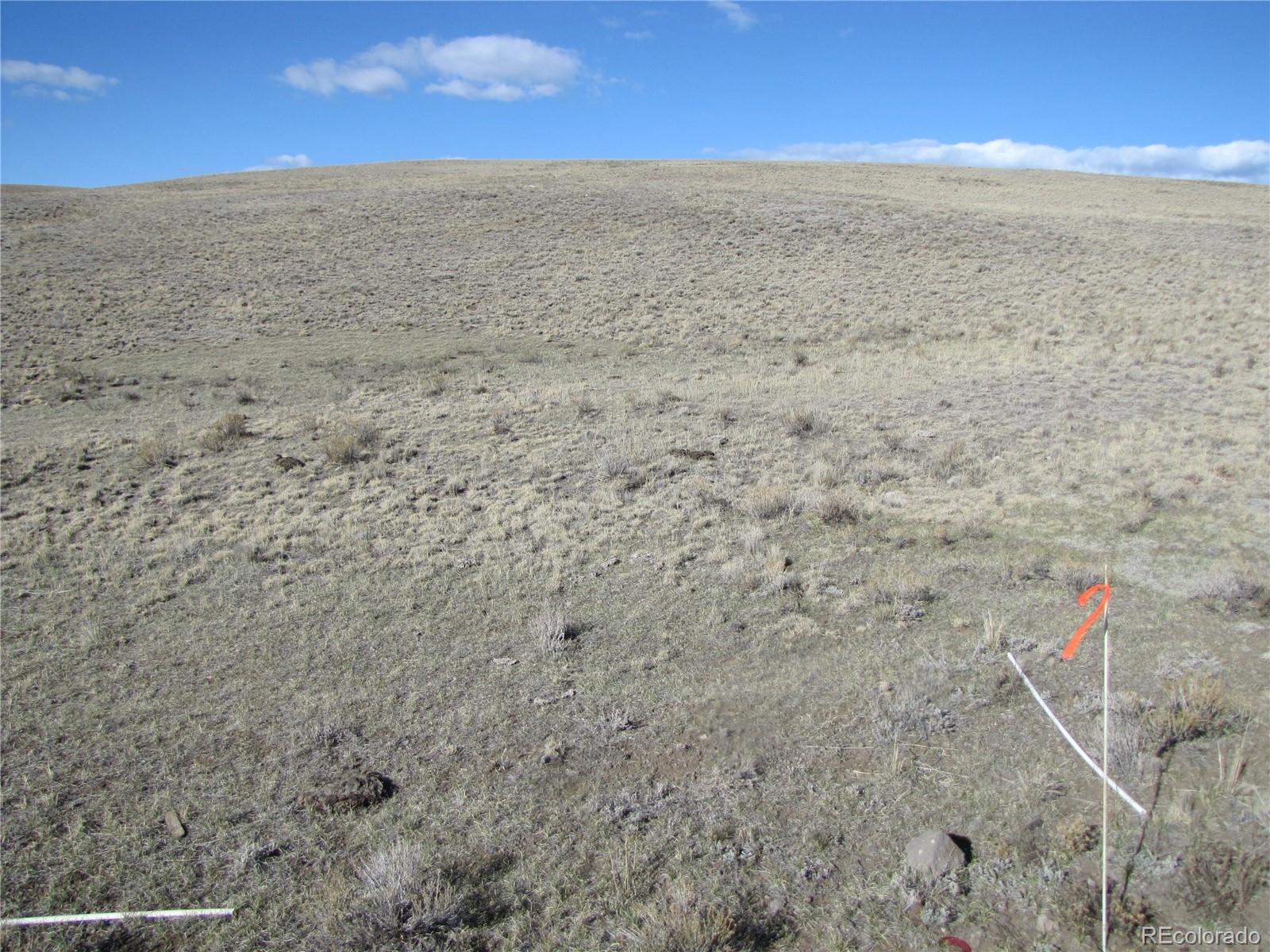 Lot 4523 Black Beaver Circle Hartsel CO 80449