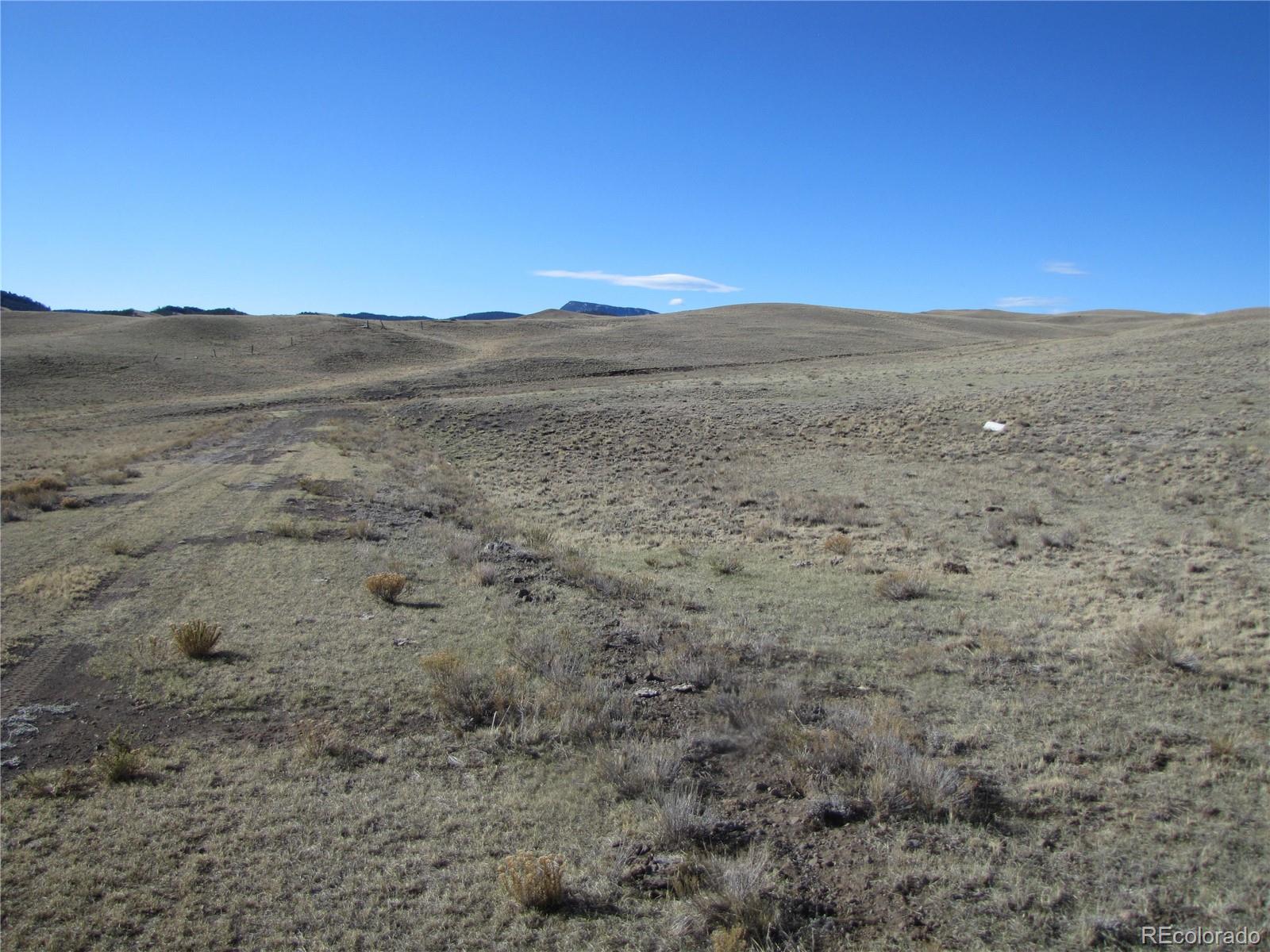 Lot 4523 Black Beaver Circle Hartsel CO 80449