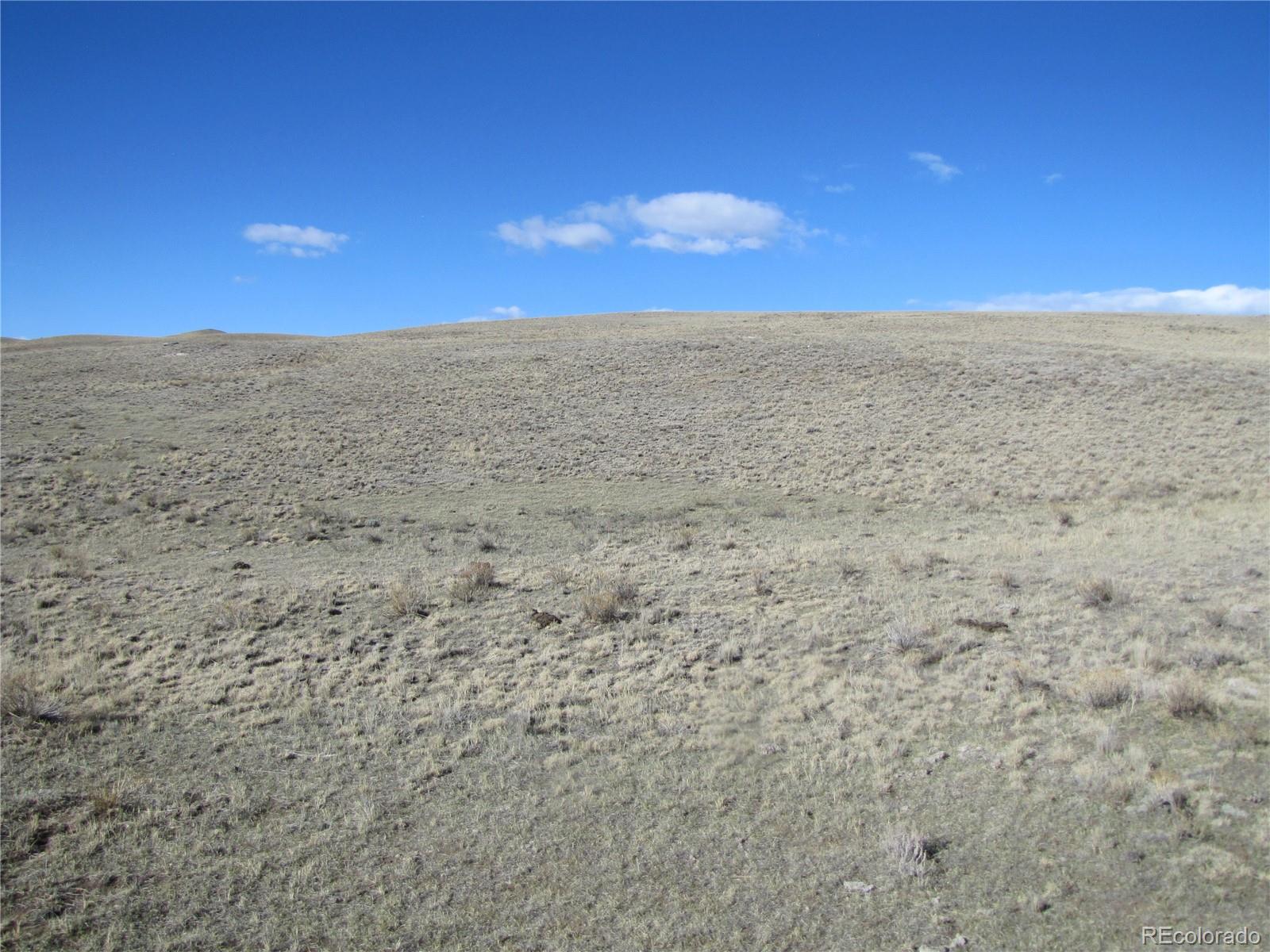 Lot 4523 Black Beaver Circle Hartsel CO 80449