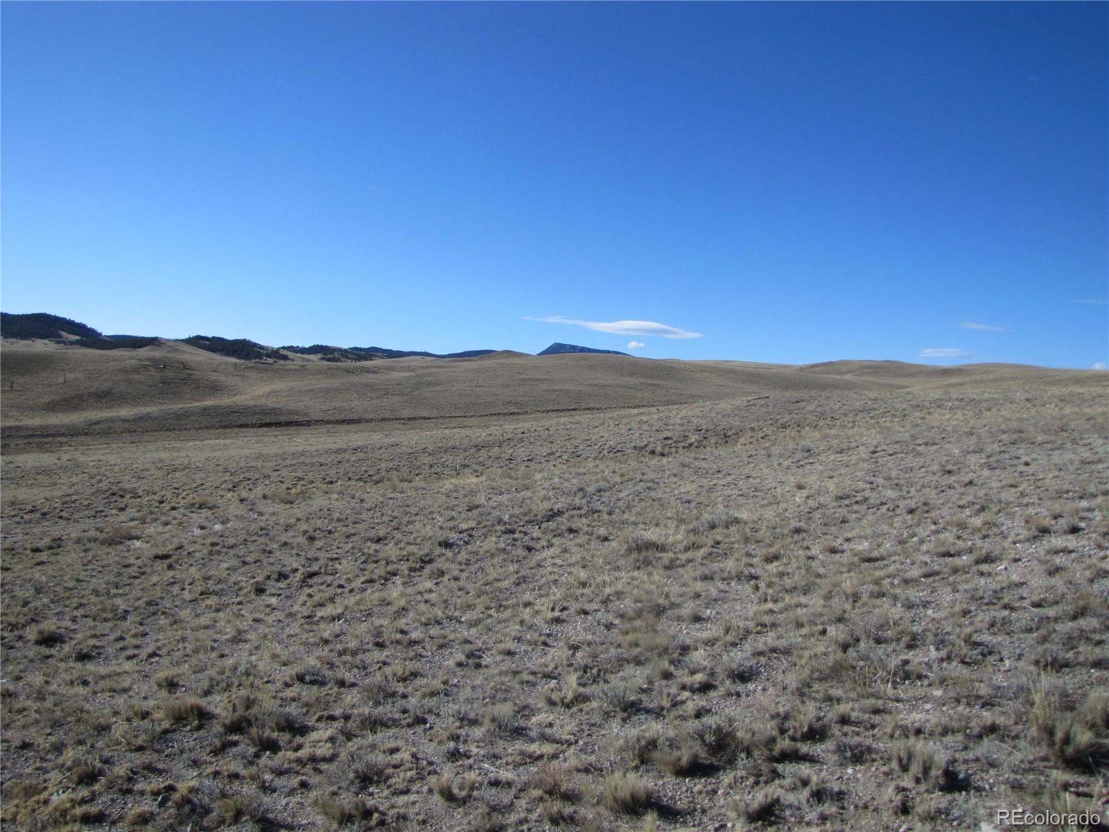 Lot 4523 Black Beaver Circle Hartsel CO 80449