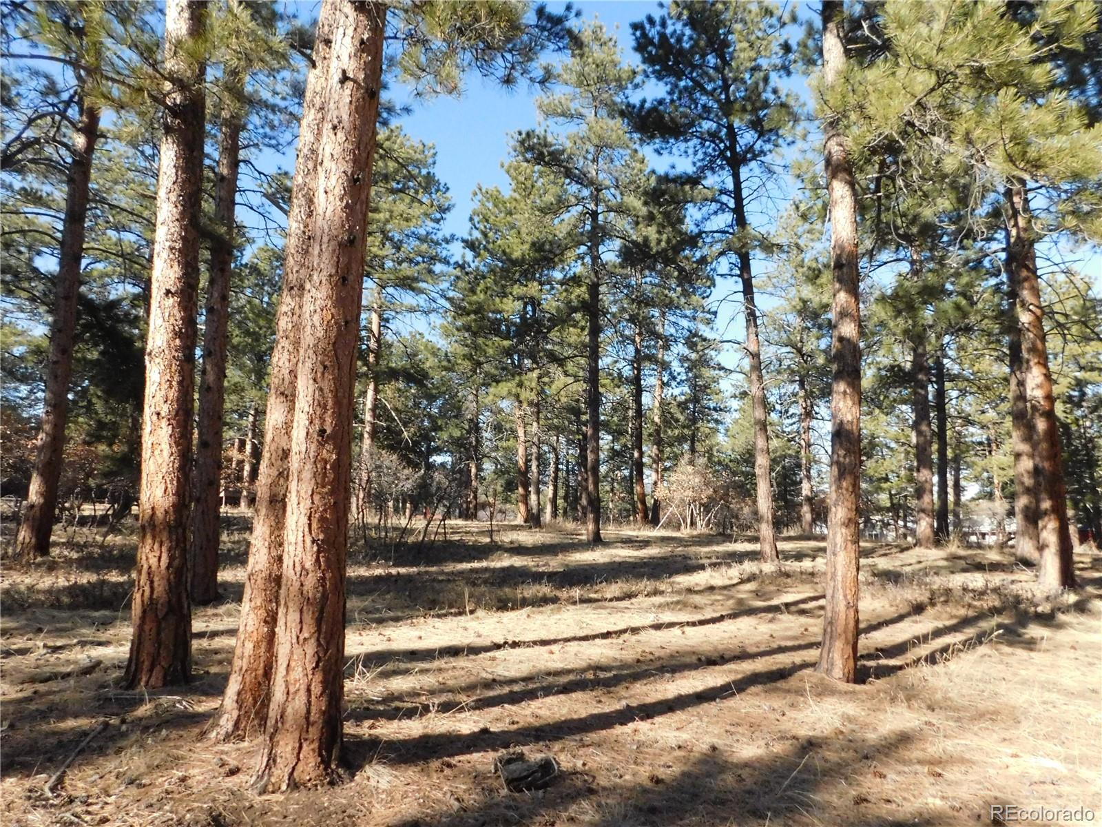 5845 S Pike Drive Larkspur CO 80118
