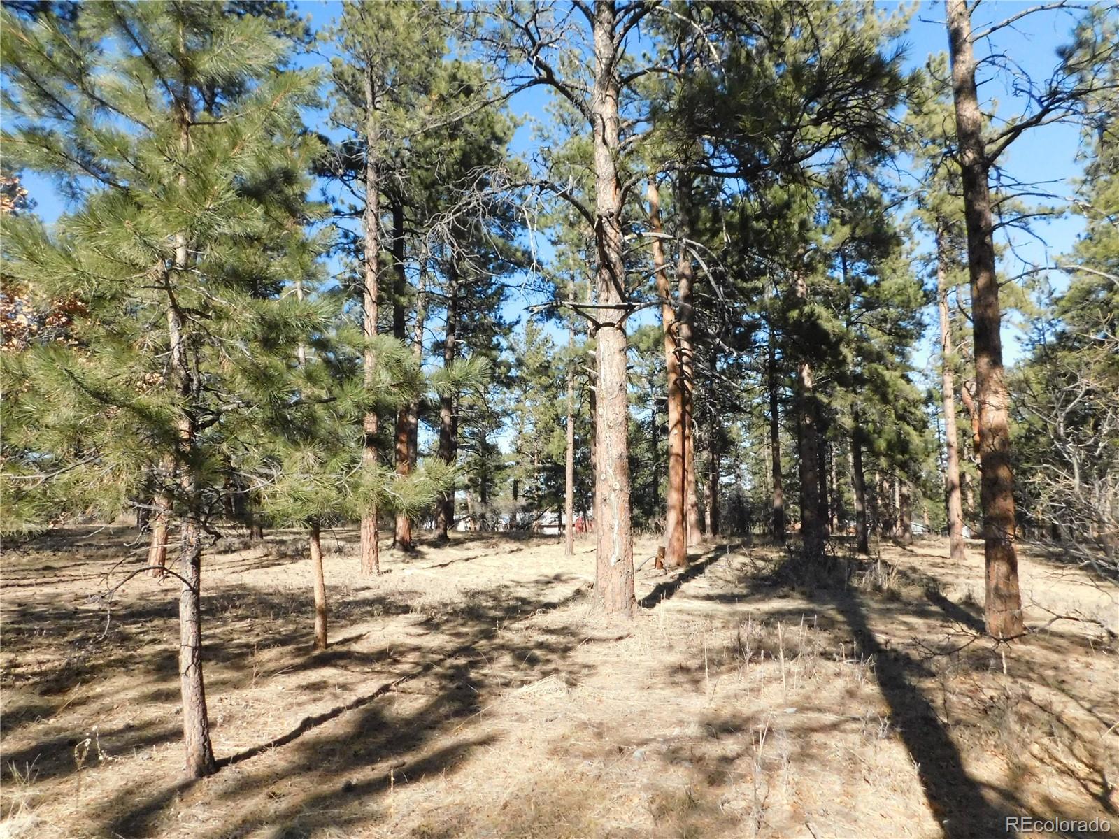 5845 S Pike Drive Larkspur CO 80118