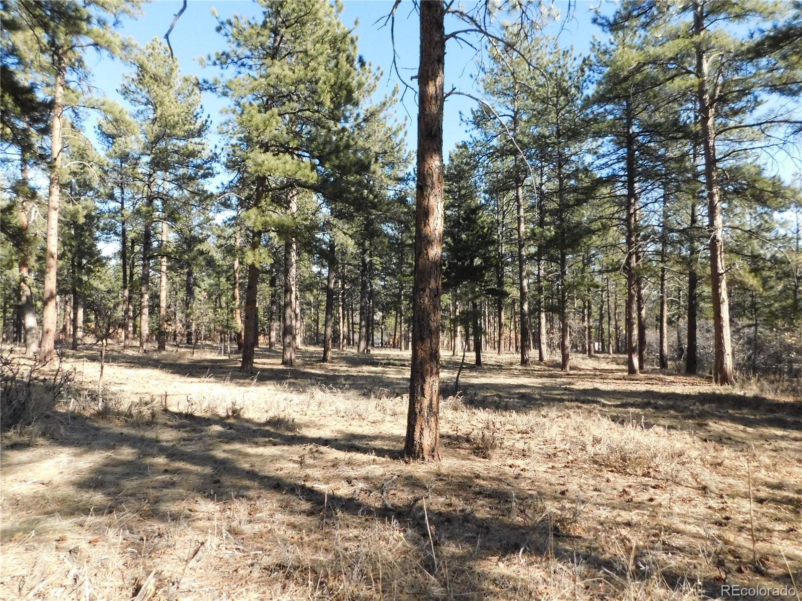 5845 S Pike Drive Larkspur CO 80118
