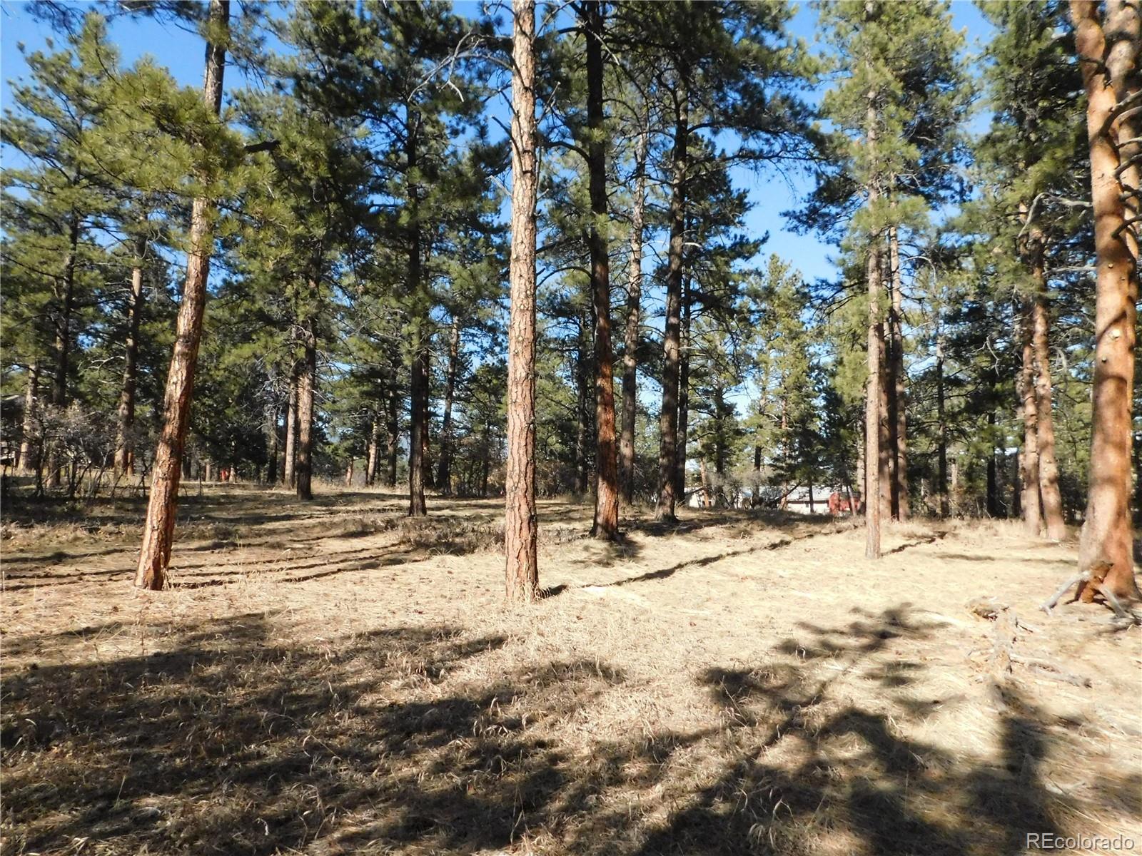 5845 S Pike Drive Larkspur CO 80118