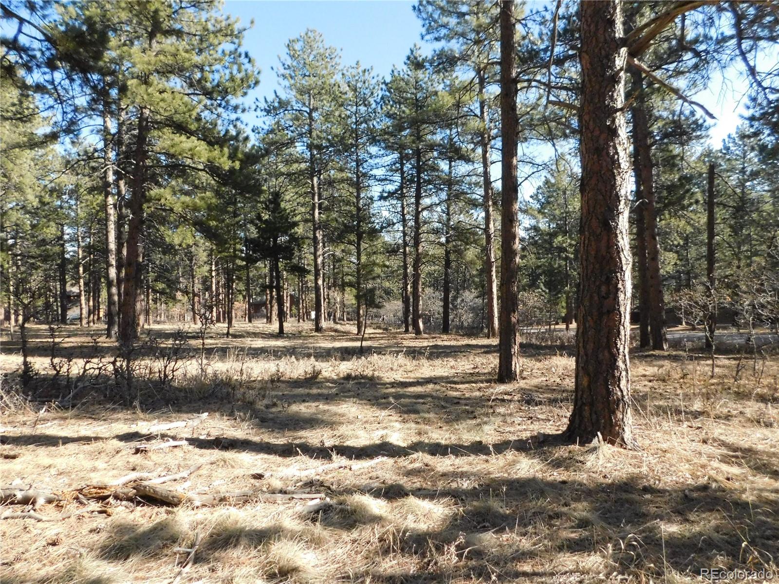 5845 S Pike Drive Larkspur CO 80118