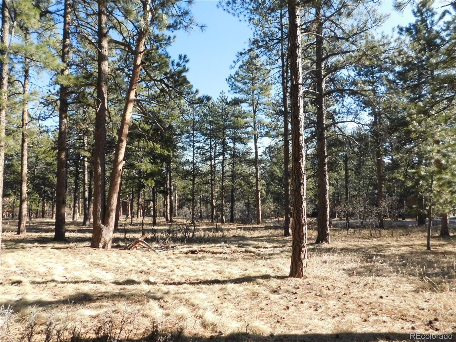 5845 S Pike Drive Larkspur CO 80118