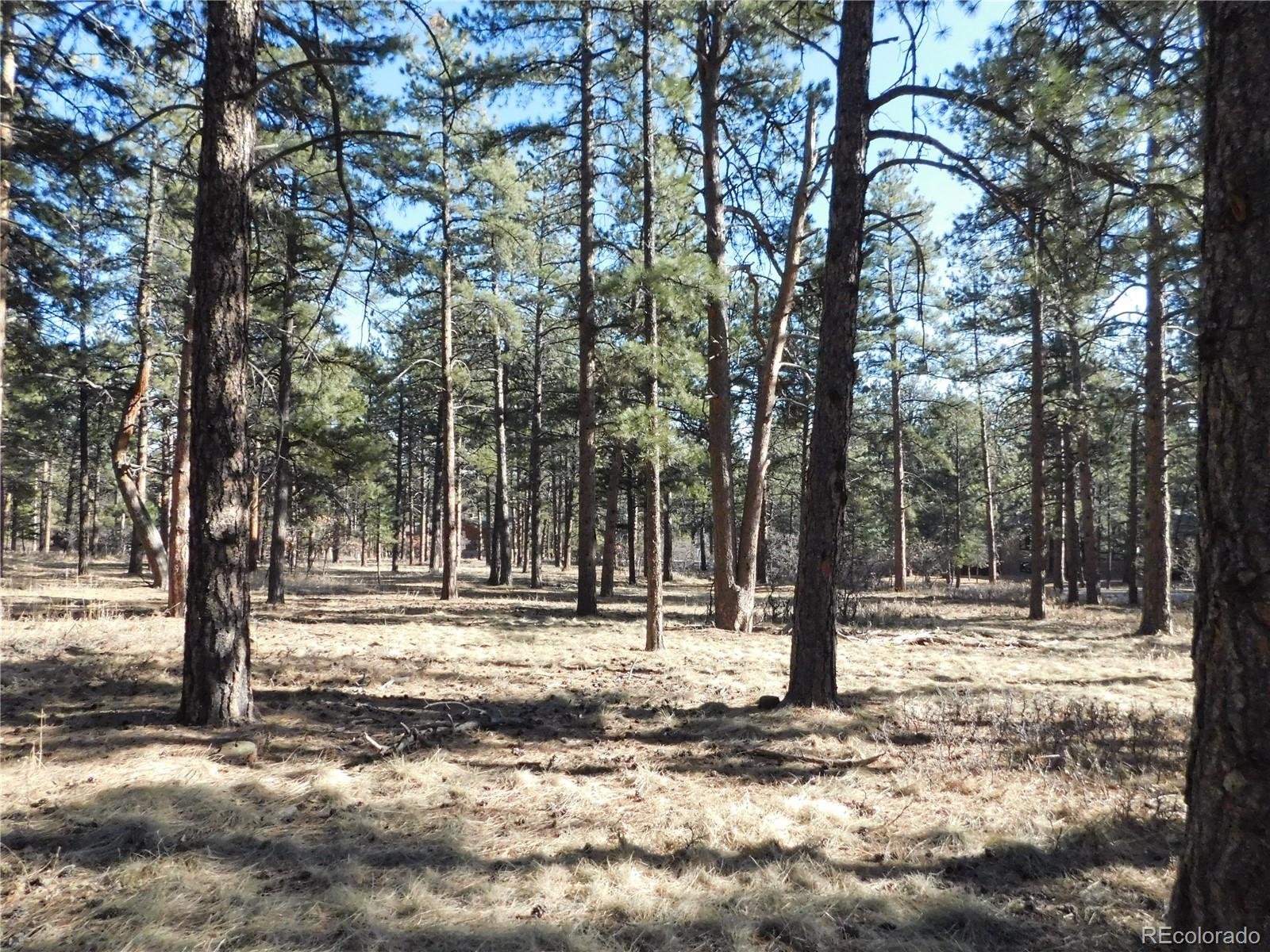 5845 S Pike Drive Larkspur CO 80118