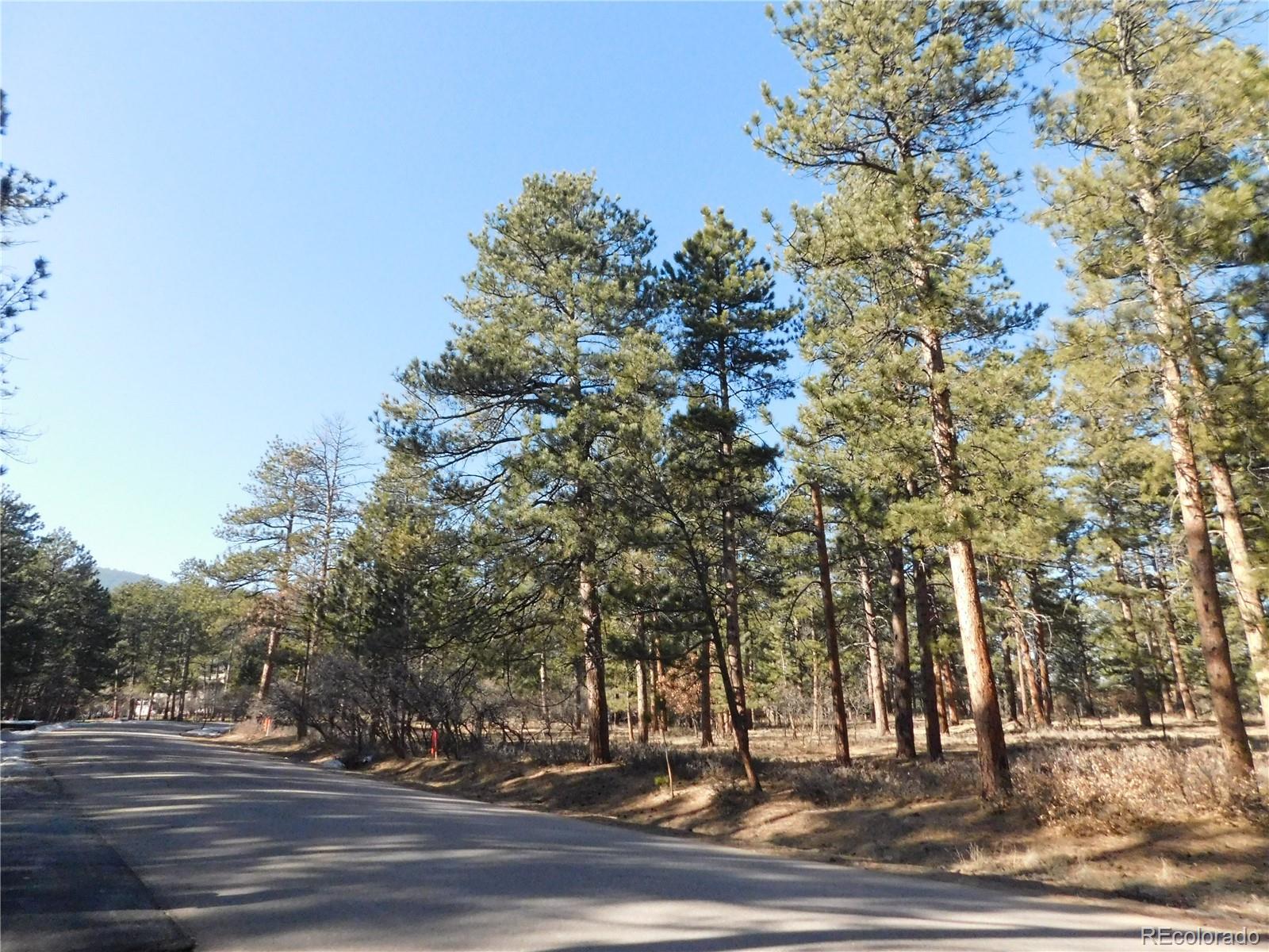 5845 S Pike Drive Larkspur CO 80118