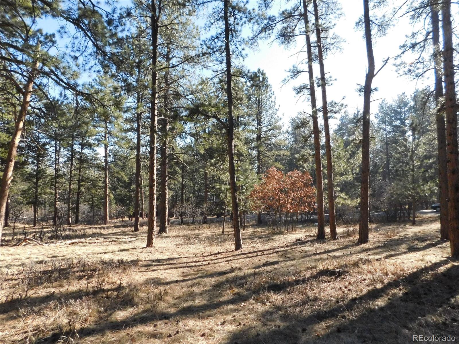 5845 S Pike Drive Larkspur CO 80118