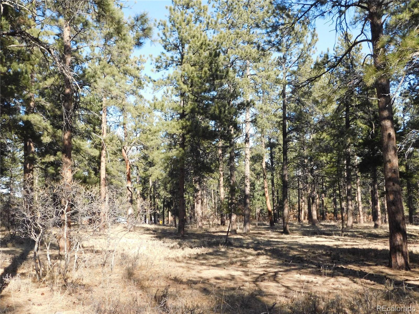 5845 S Pike Drive Larkspur CO 80118