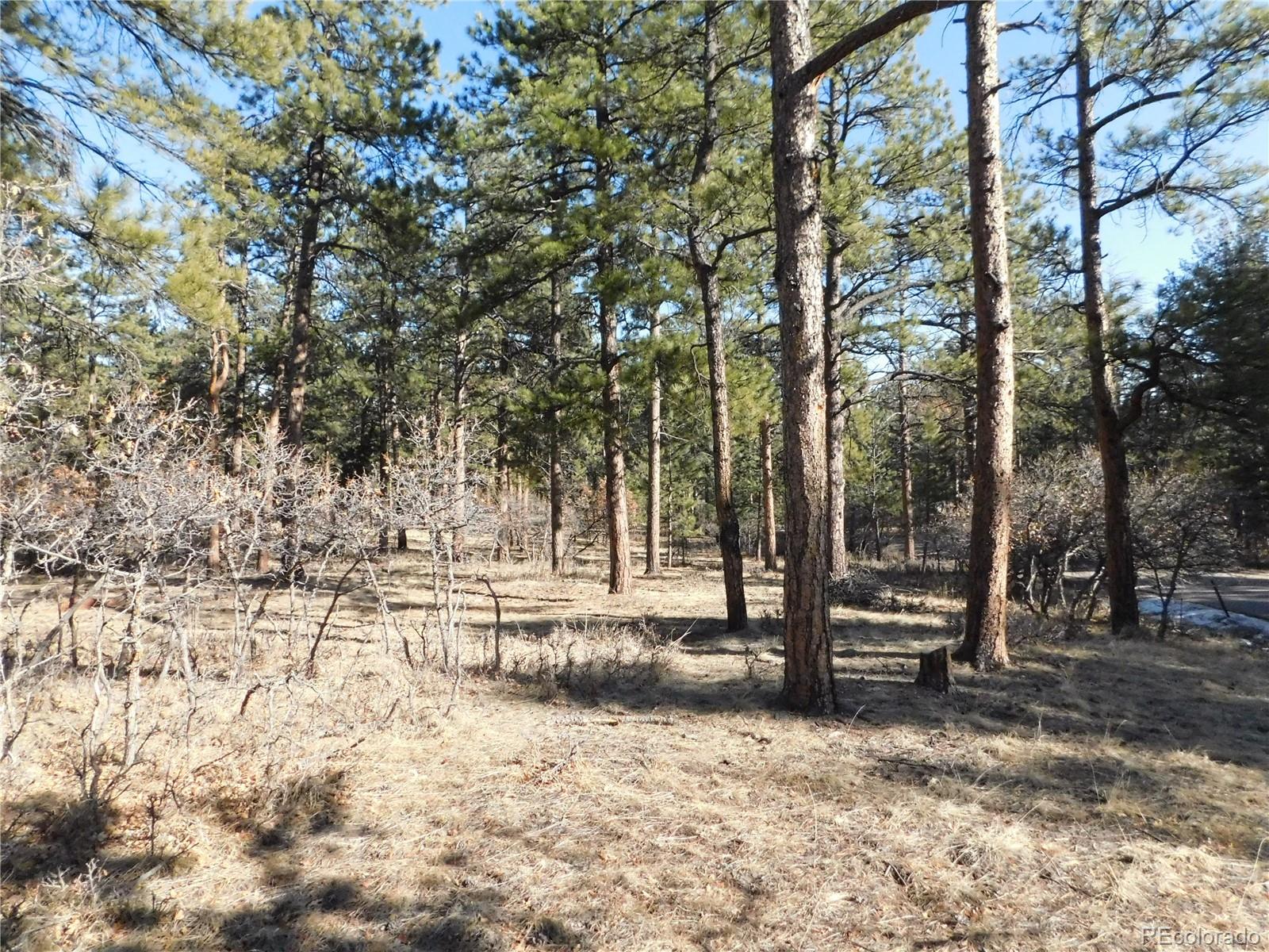 5845 S Pike Drive Larkspur CO 80118