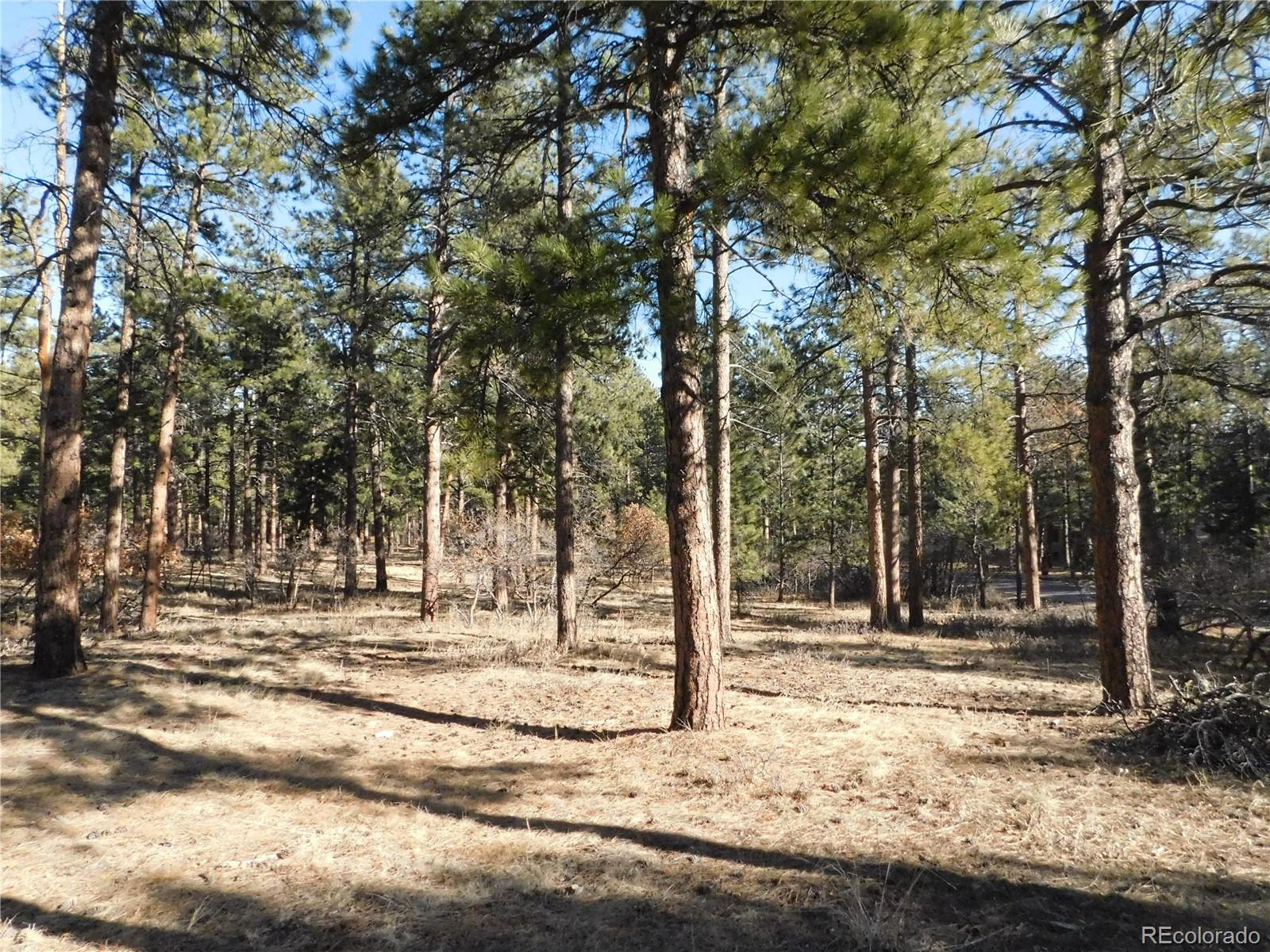 5845 S Pike Drive Larkspur CO 80118