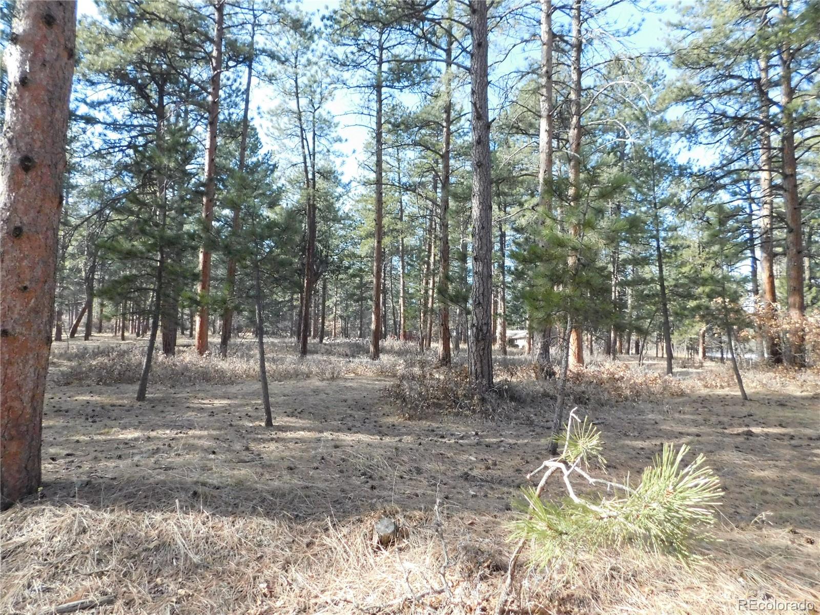 5845 S Pike Drive Larkspur CO 80118