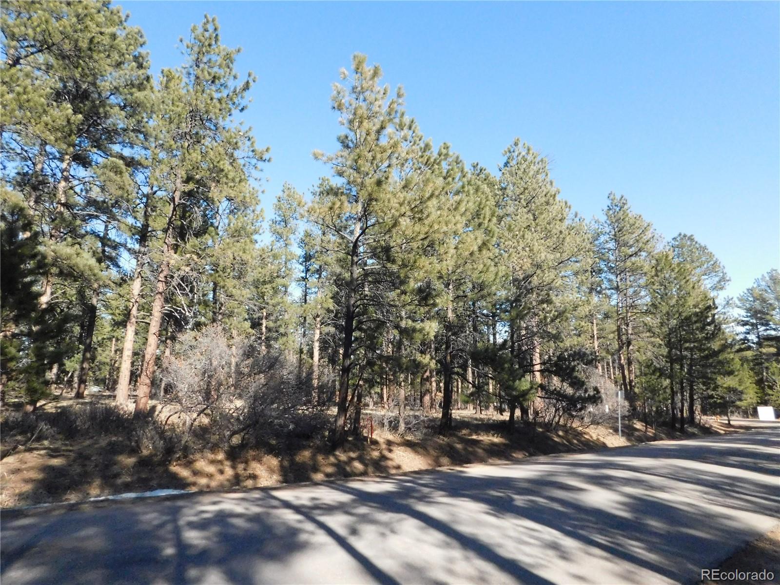 5845 S Pike Drive Larkspur CO 80118