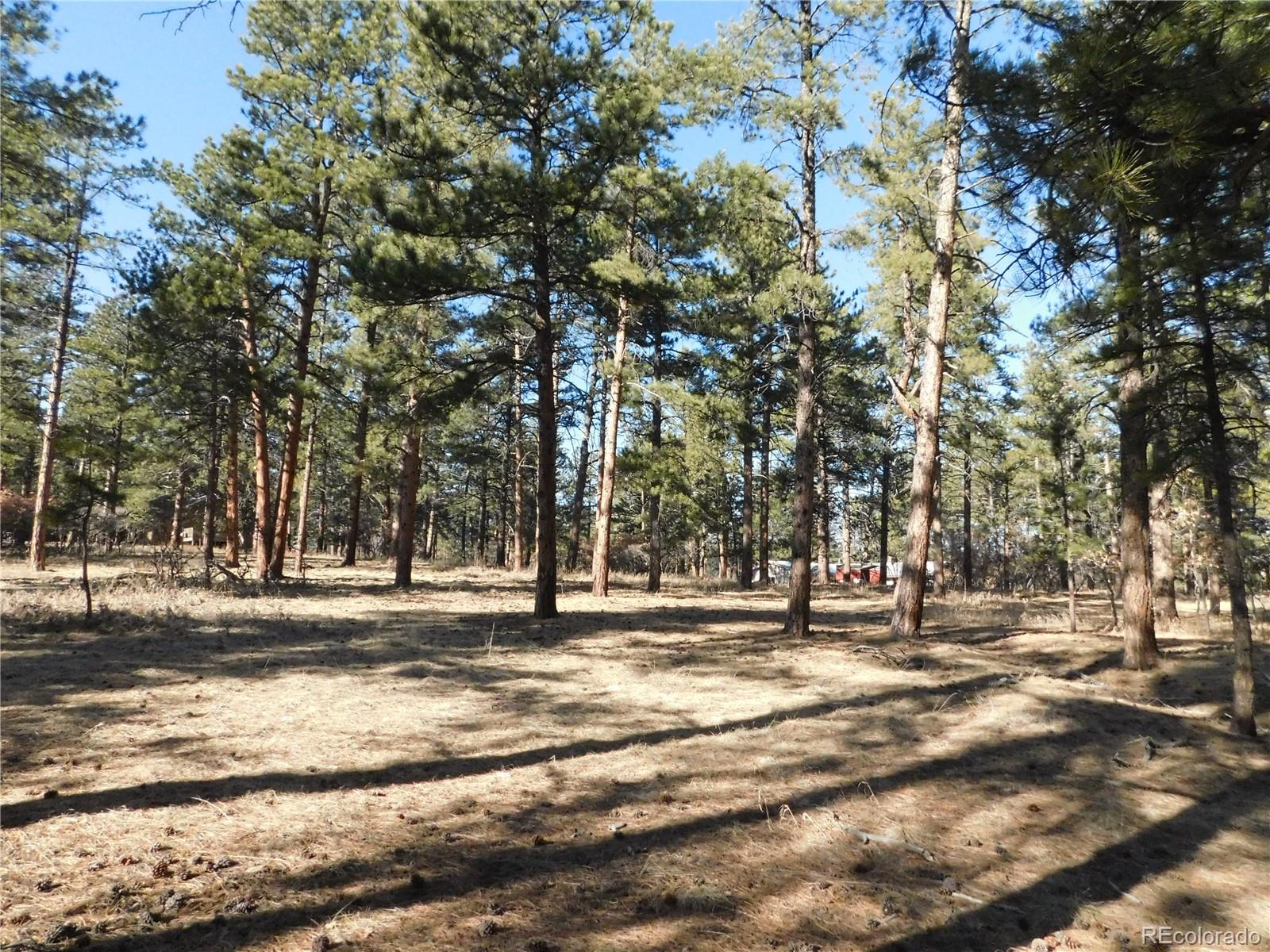 5845 S Pike Drive Larkspur CO 80118