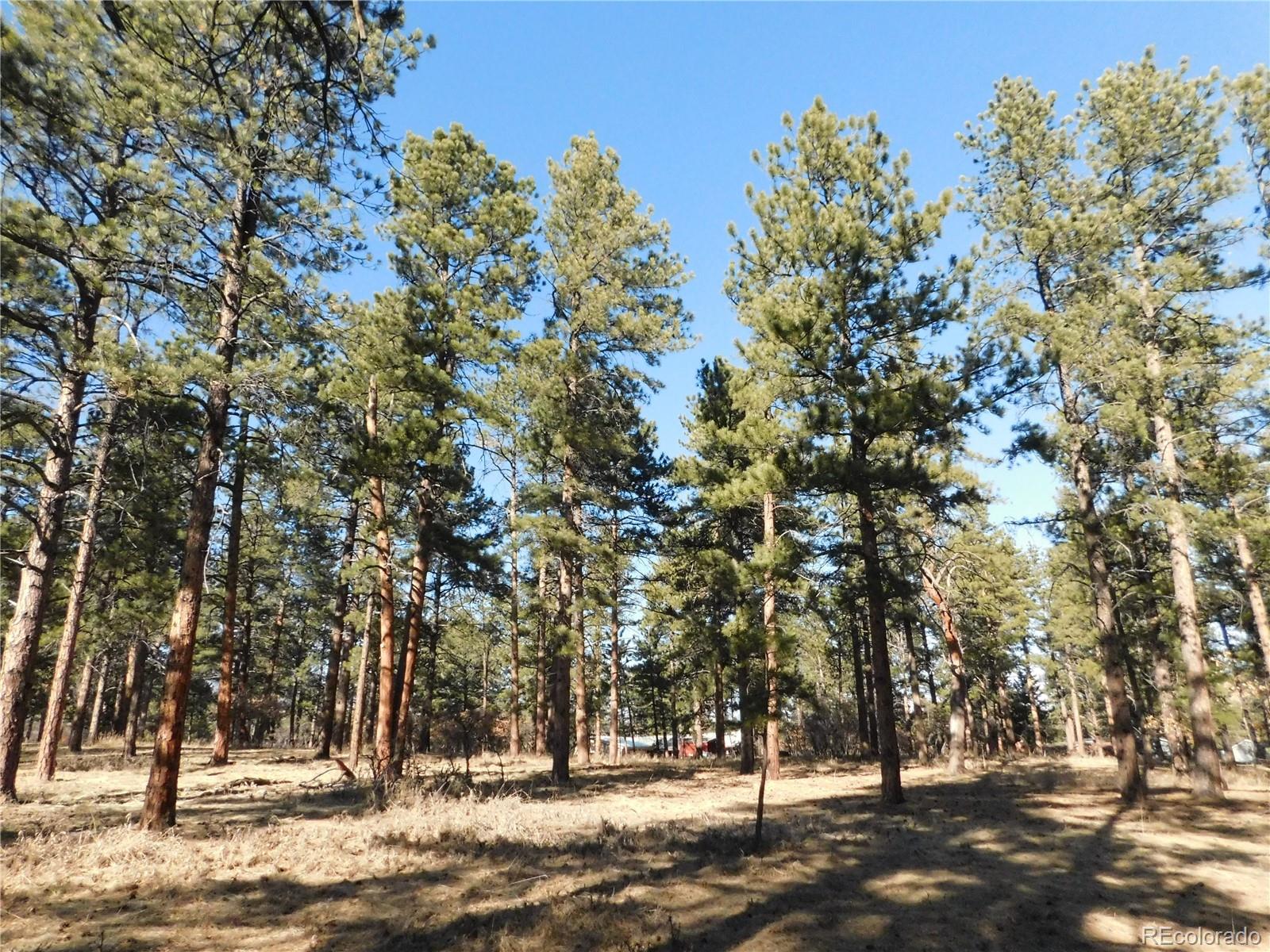 5845 S Pike Drive Larkspur CO 80118