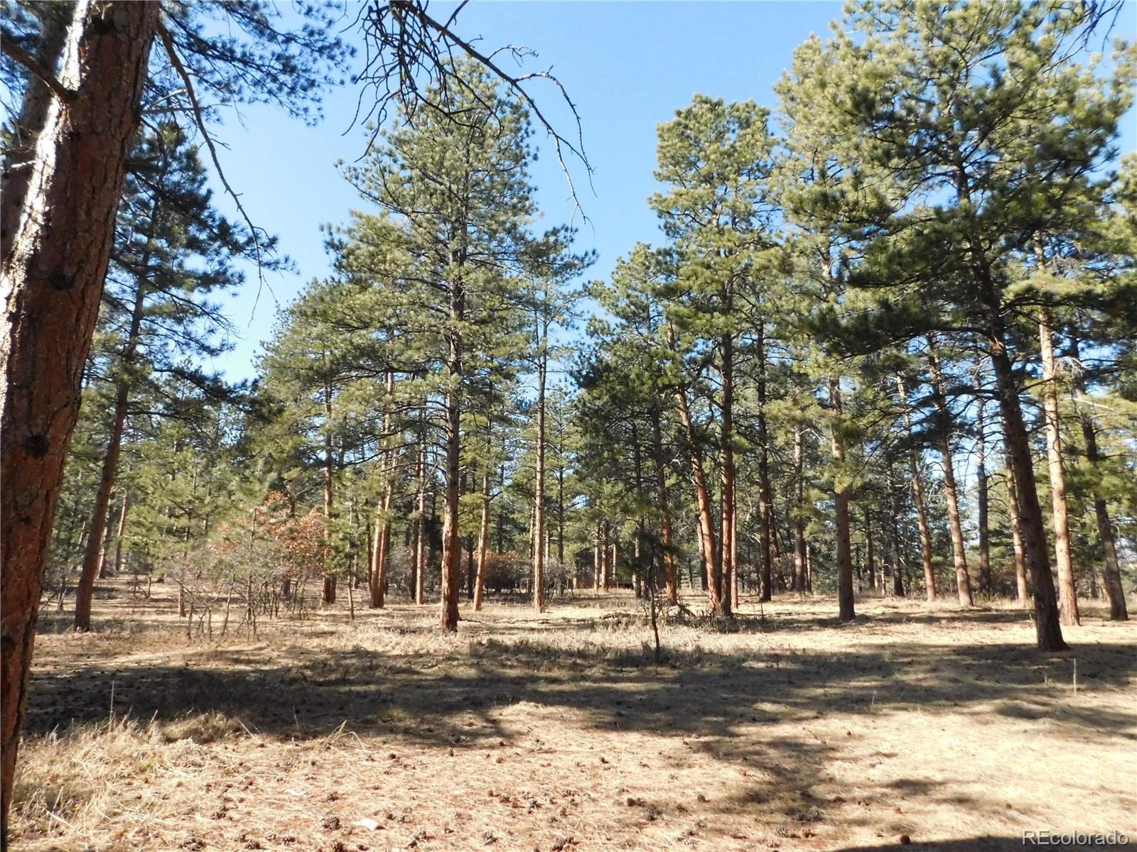 5845 S Pike Drive Larkspur CO 80118