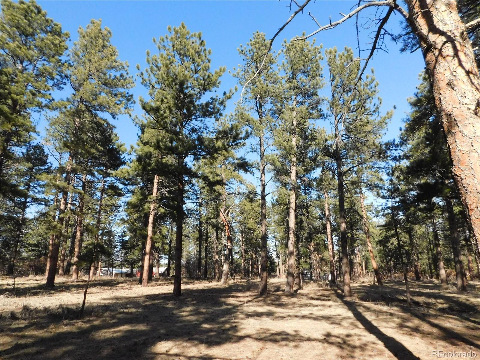 5845 S Pike Drive Larkspur CO 80118