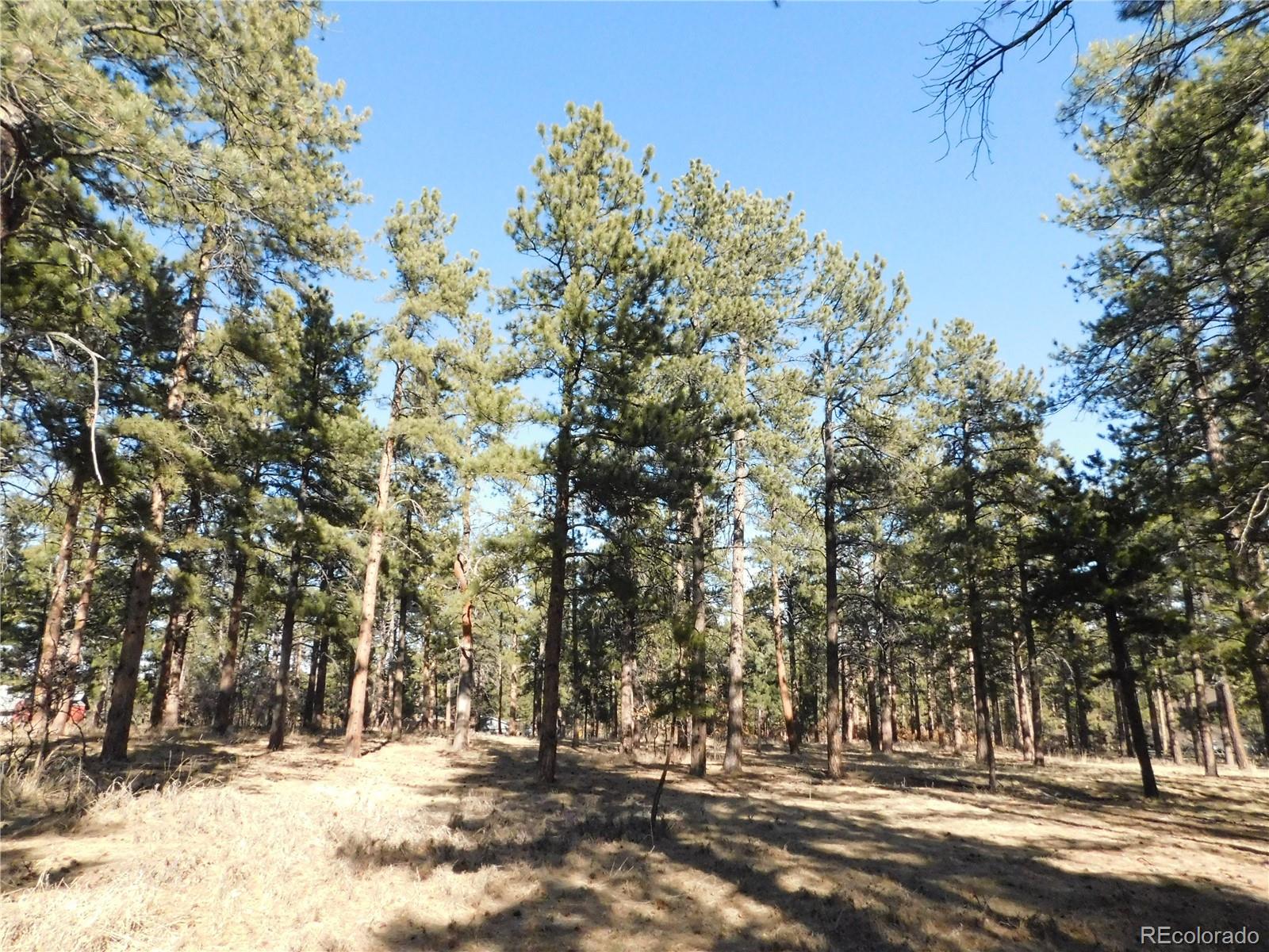 5845 S Pike Drive Larkspur CO 80118