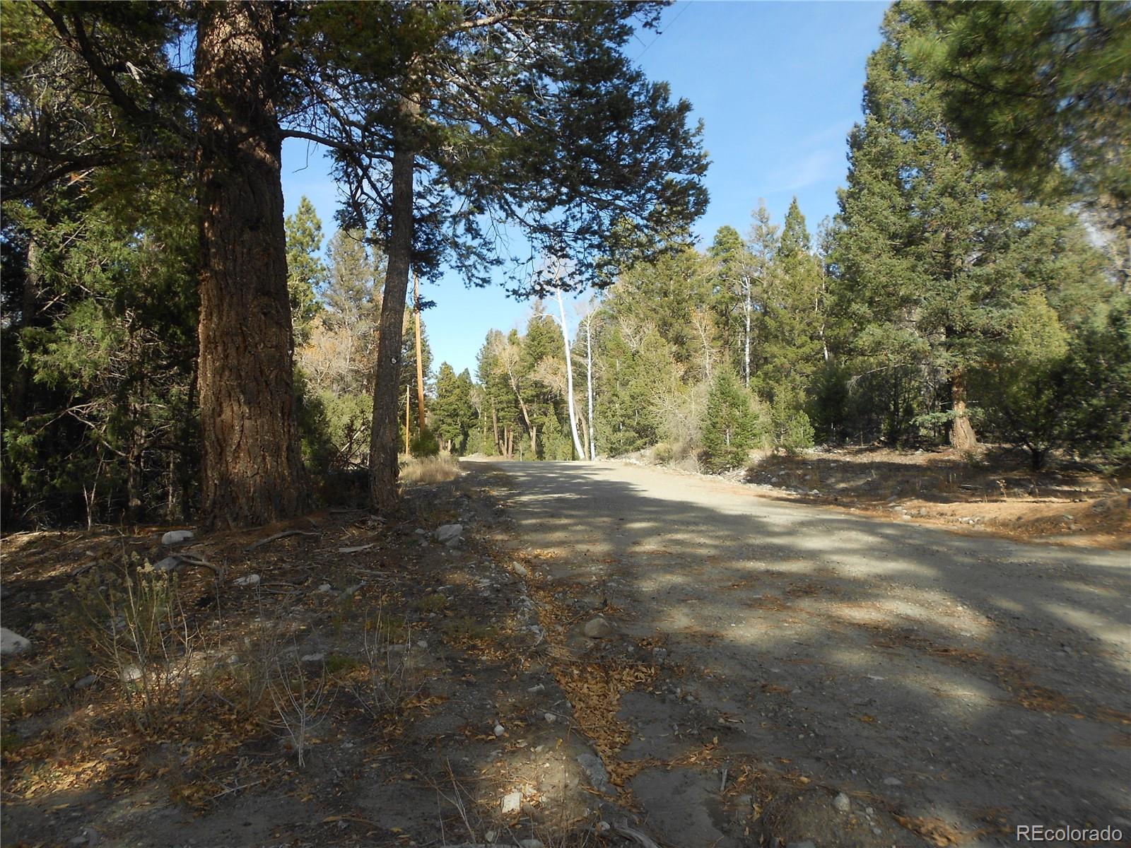 206 W Zapata Place Mosca CO 81146