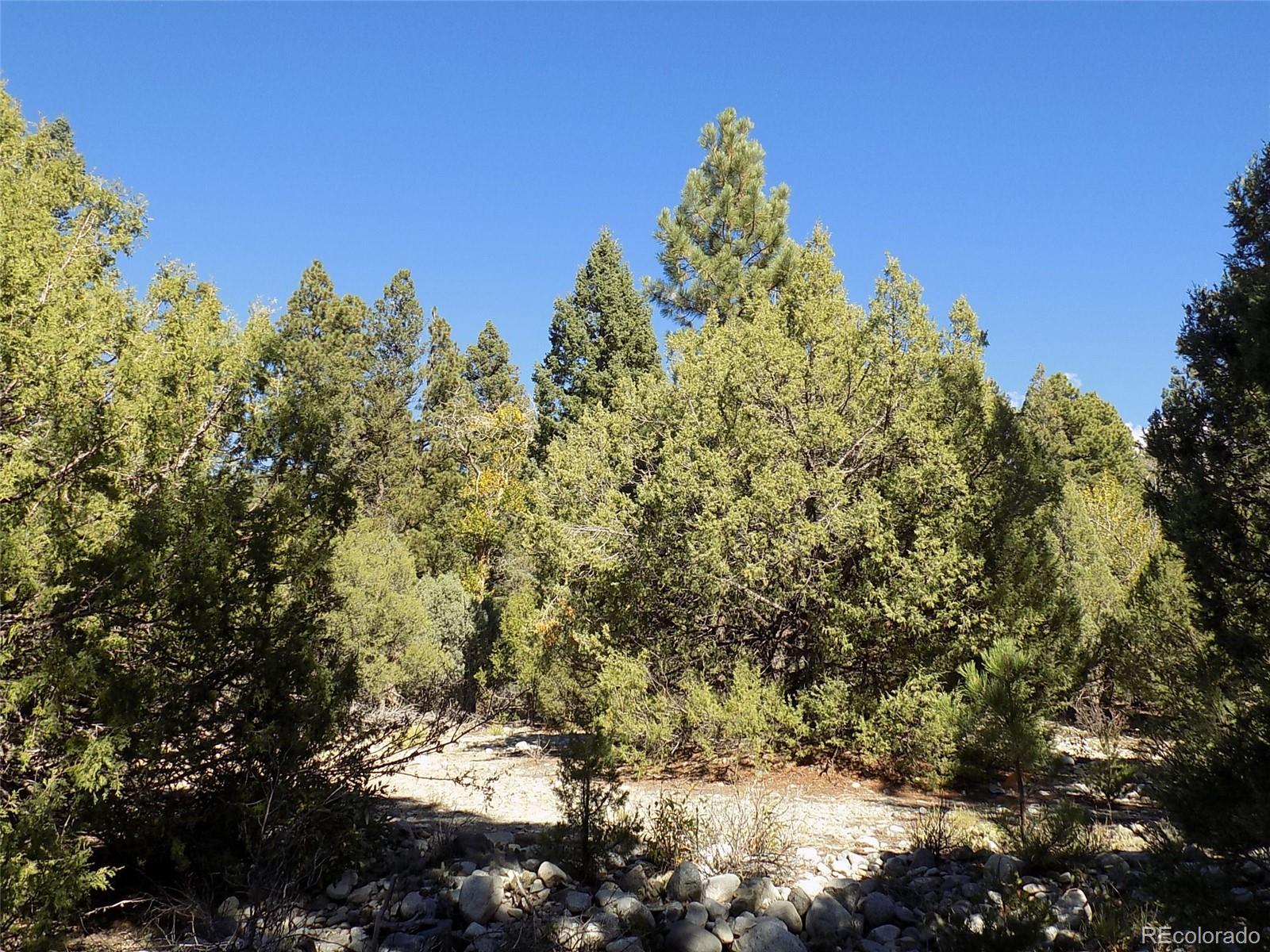 206 W Zapata Place Mosca CO 81146