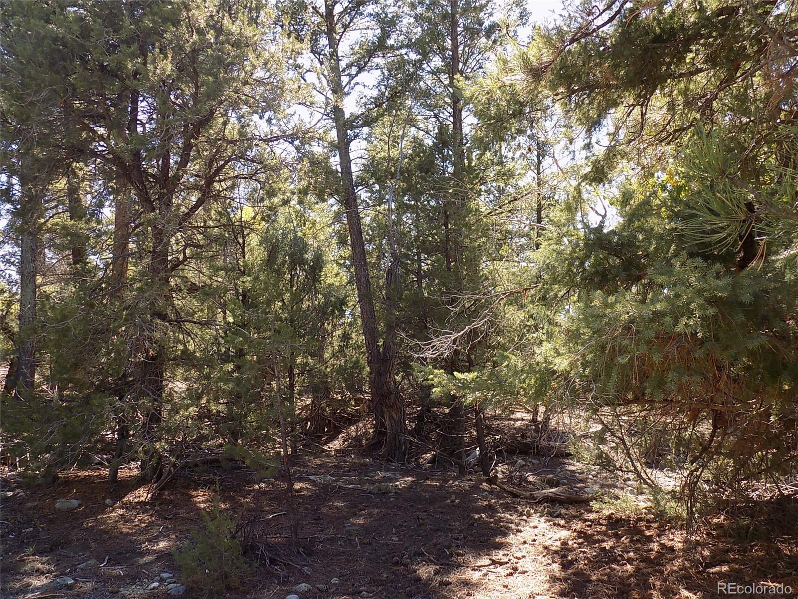 206 W Zapata Place Mosca CO 81146