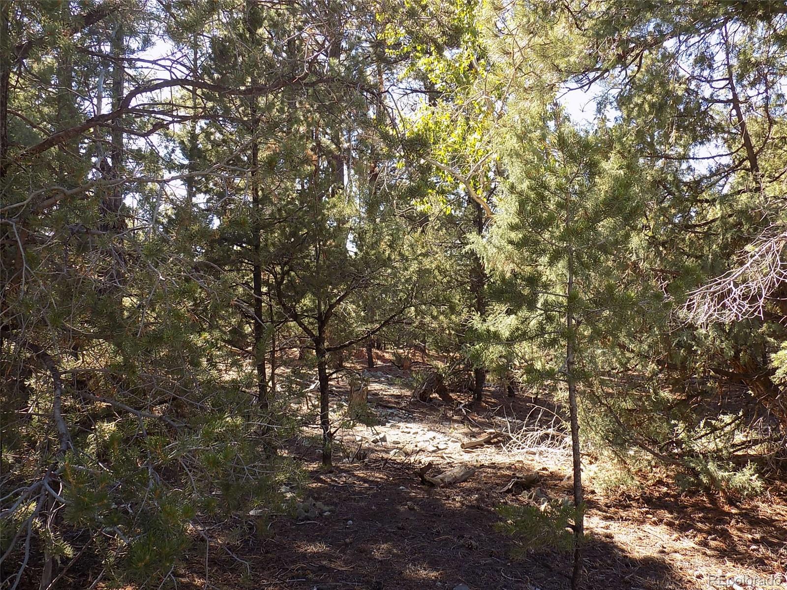 206 W Zapata Place Mosca CO 81146