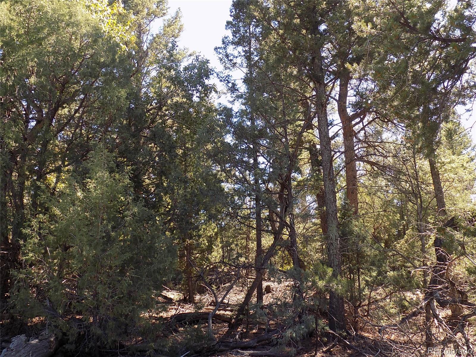 206 W Zapata Place Mosca CO 81146