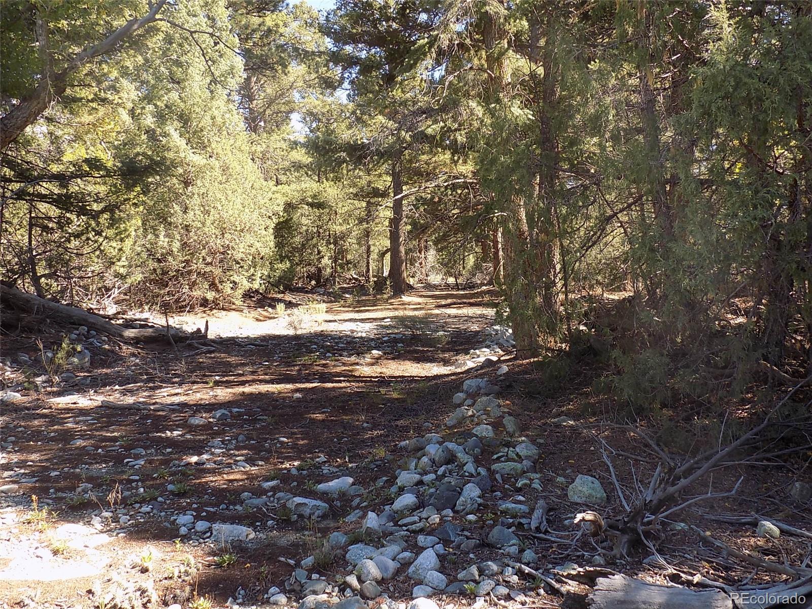 206 W Zapata Place Mosca CO 81146