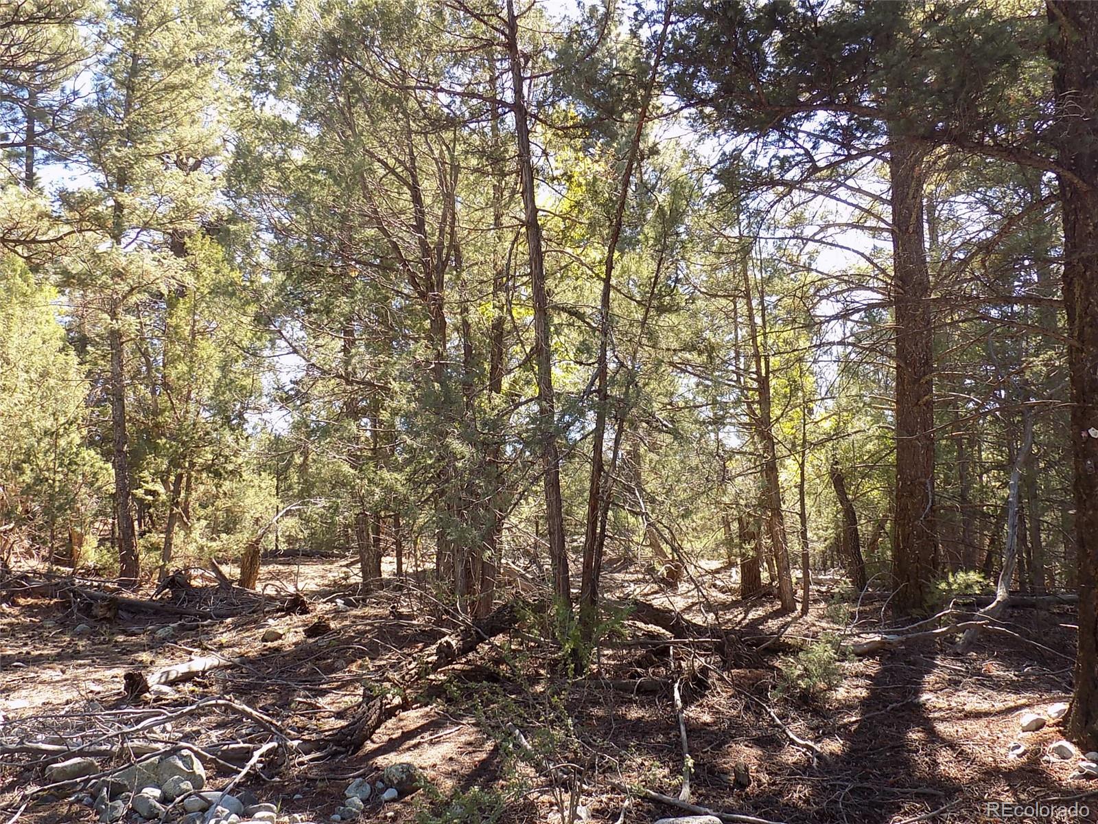 206 W Zapata Place Mosca CO 81146