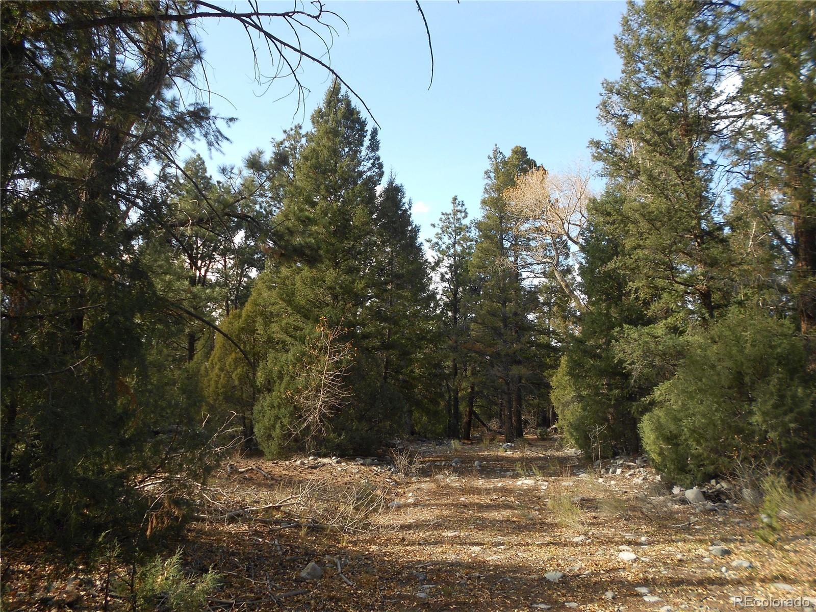 206 W Zapata Place Mosca CO 81146